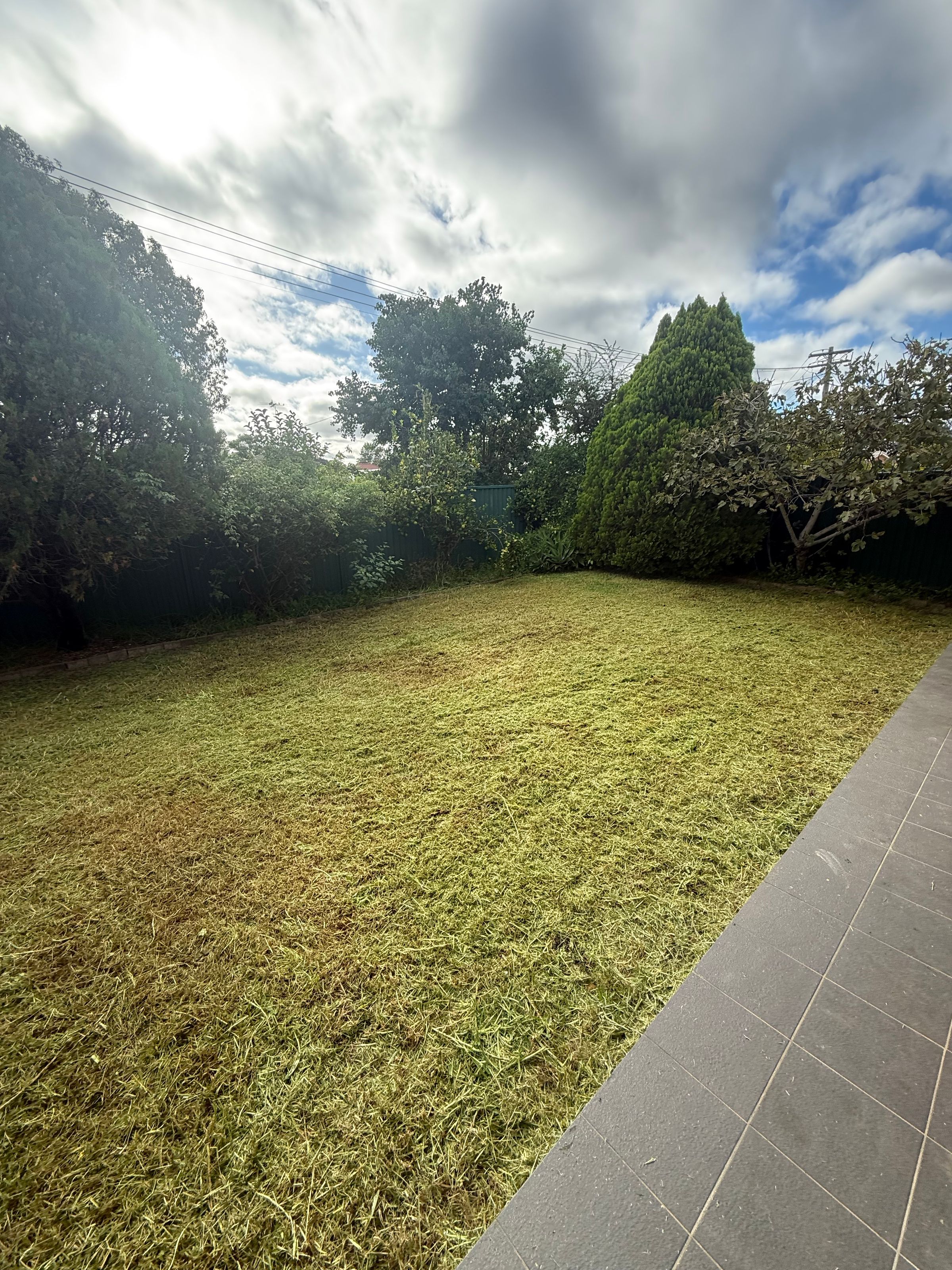 Streamline Shine | Lawn Care, Hedging & Gardening 's image