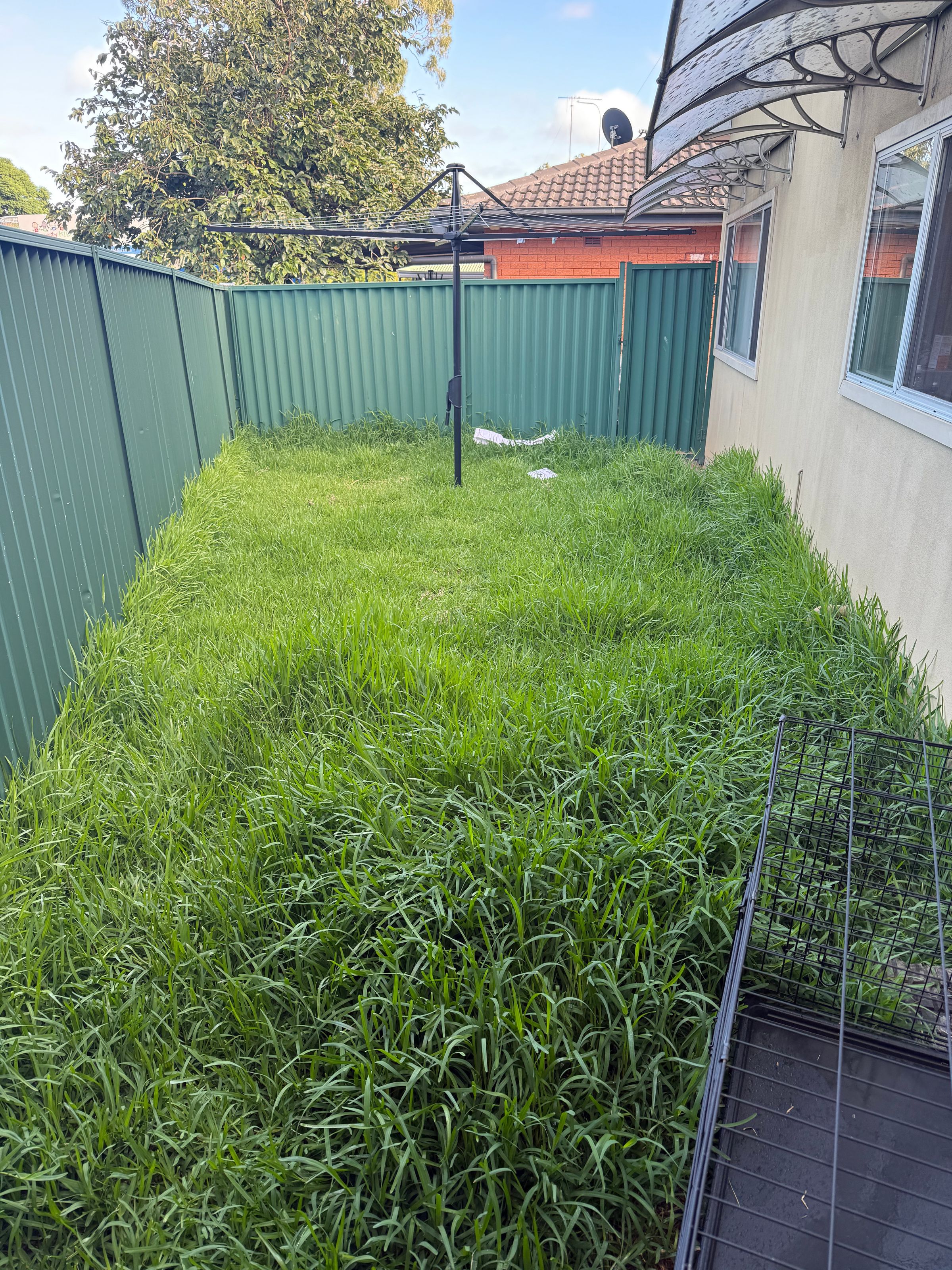 Streamline Shine | Lawn Care, Hedging & Gardening 's image