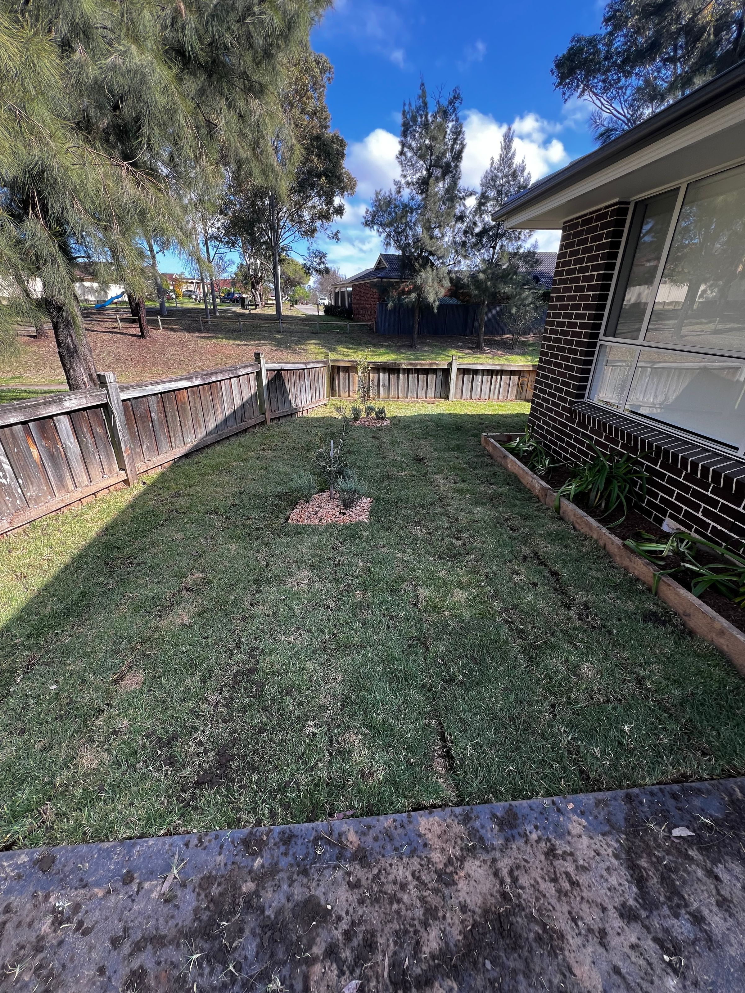 Streamline Shine | Lawn Care, Hedging & Gardening 's image