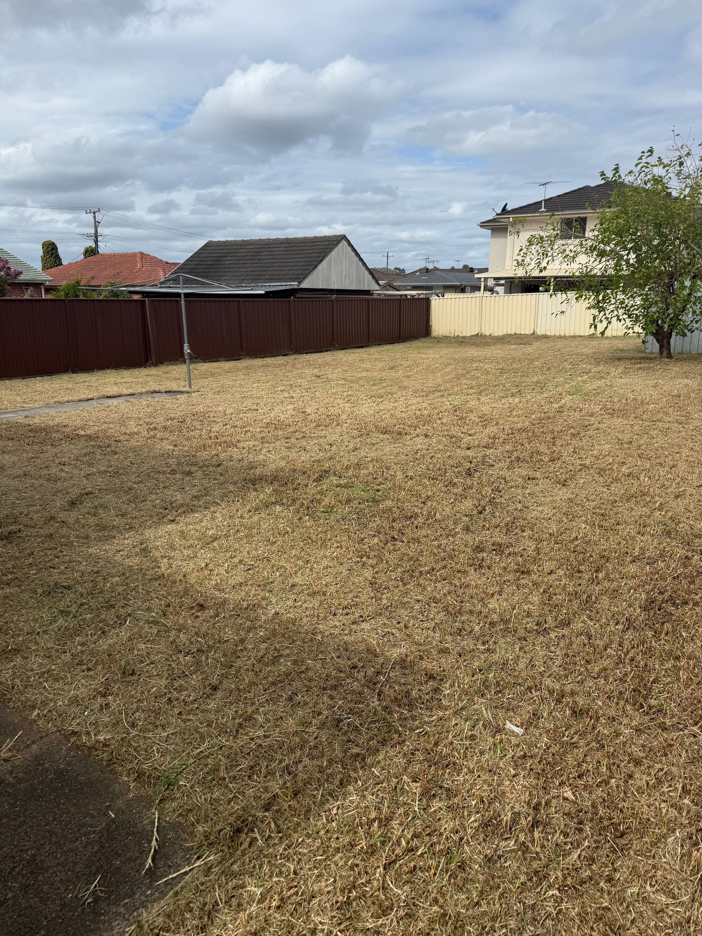 Streamline Shine | Lawn Care, Hedging & Gardening 's image