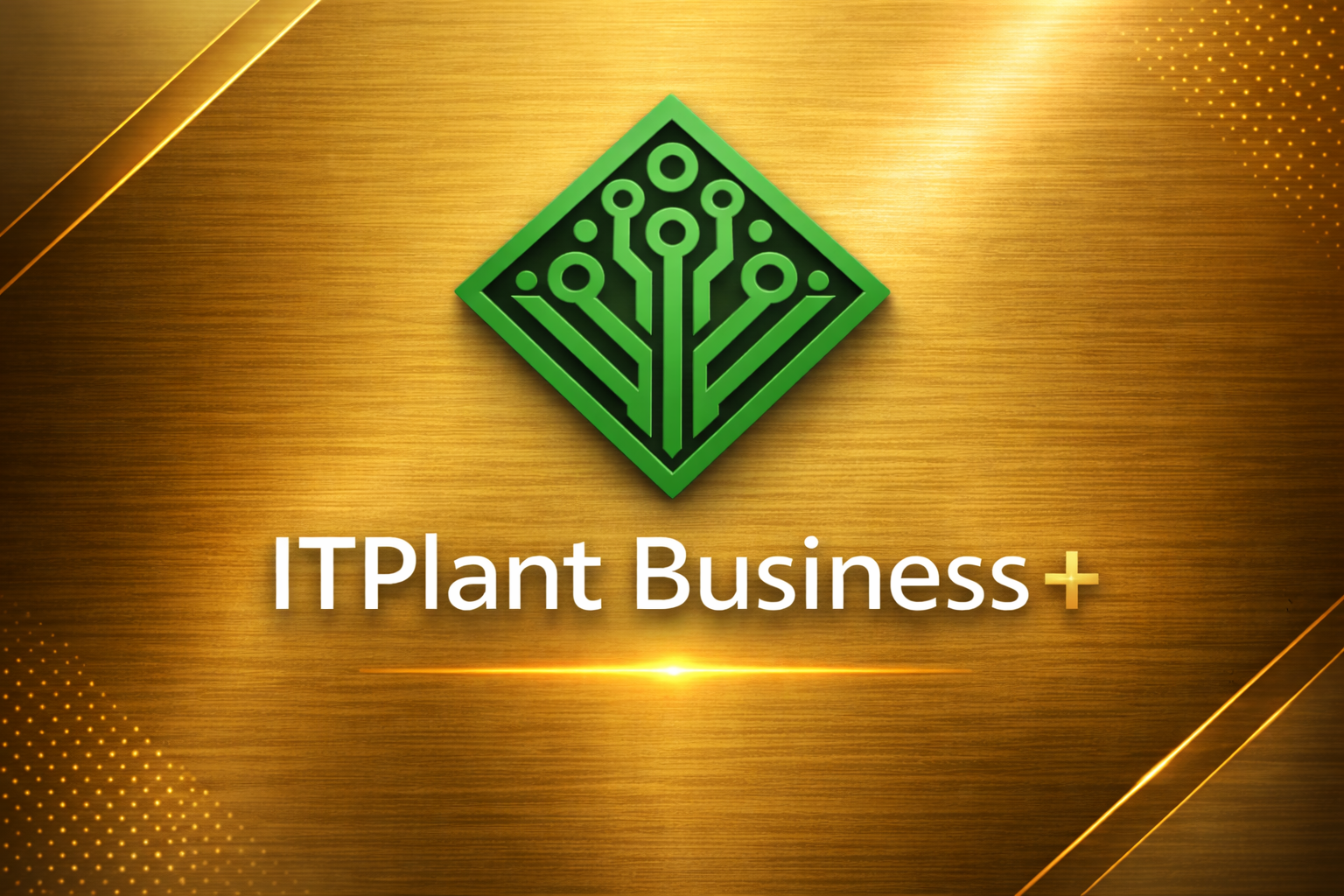 IT Service für Unternehmen in Pforzheim | ITPlant's image