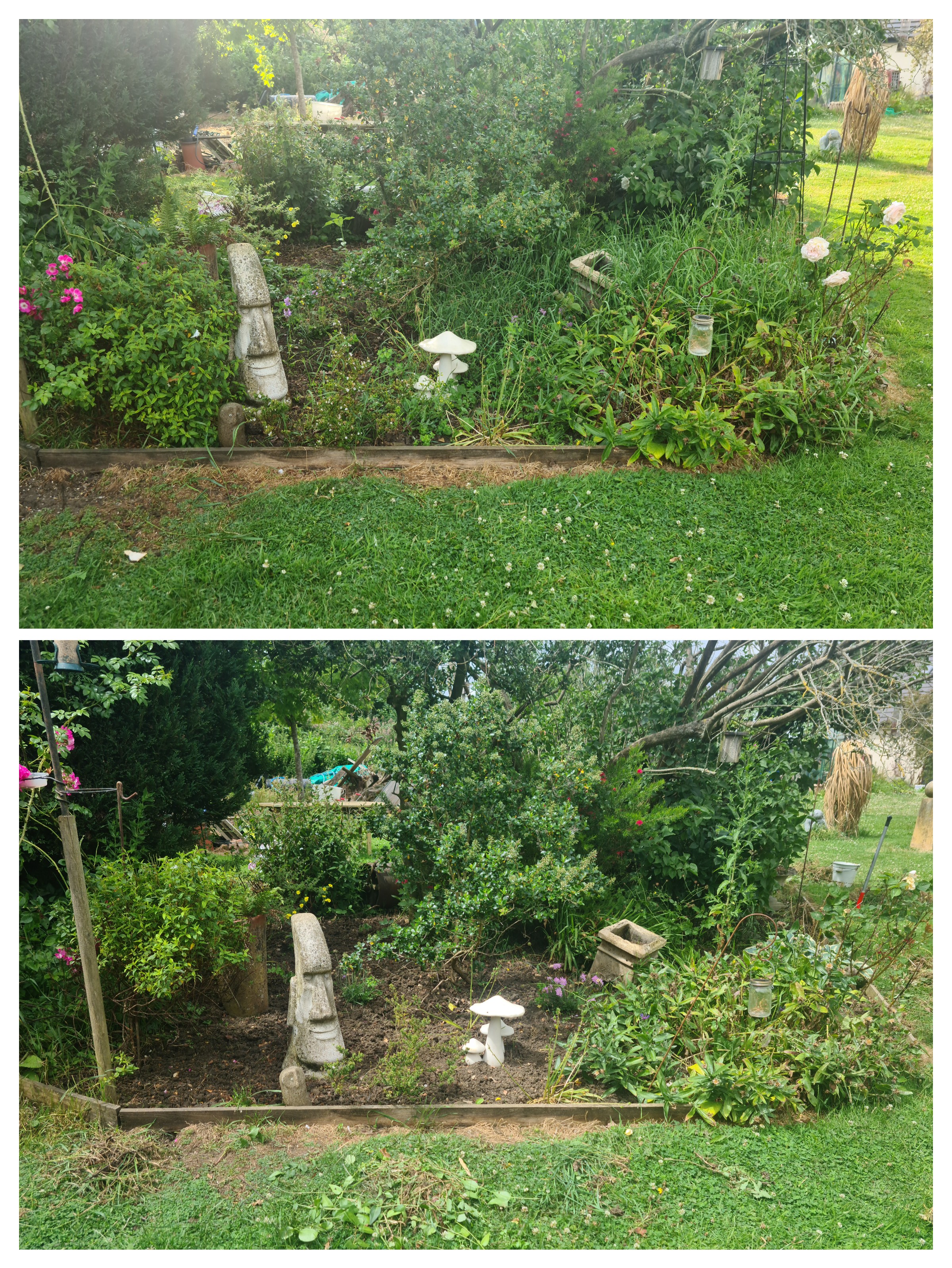 rw HANDYMAN SERVICES 's image