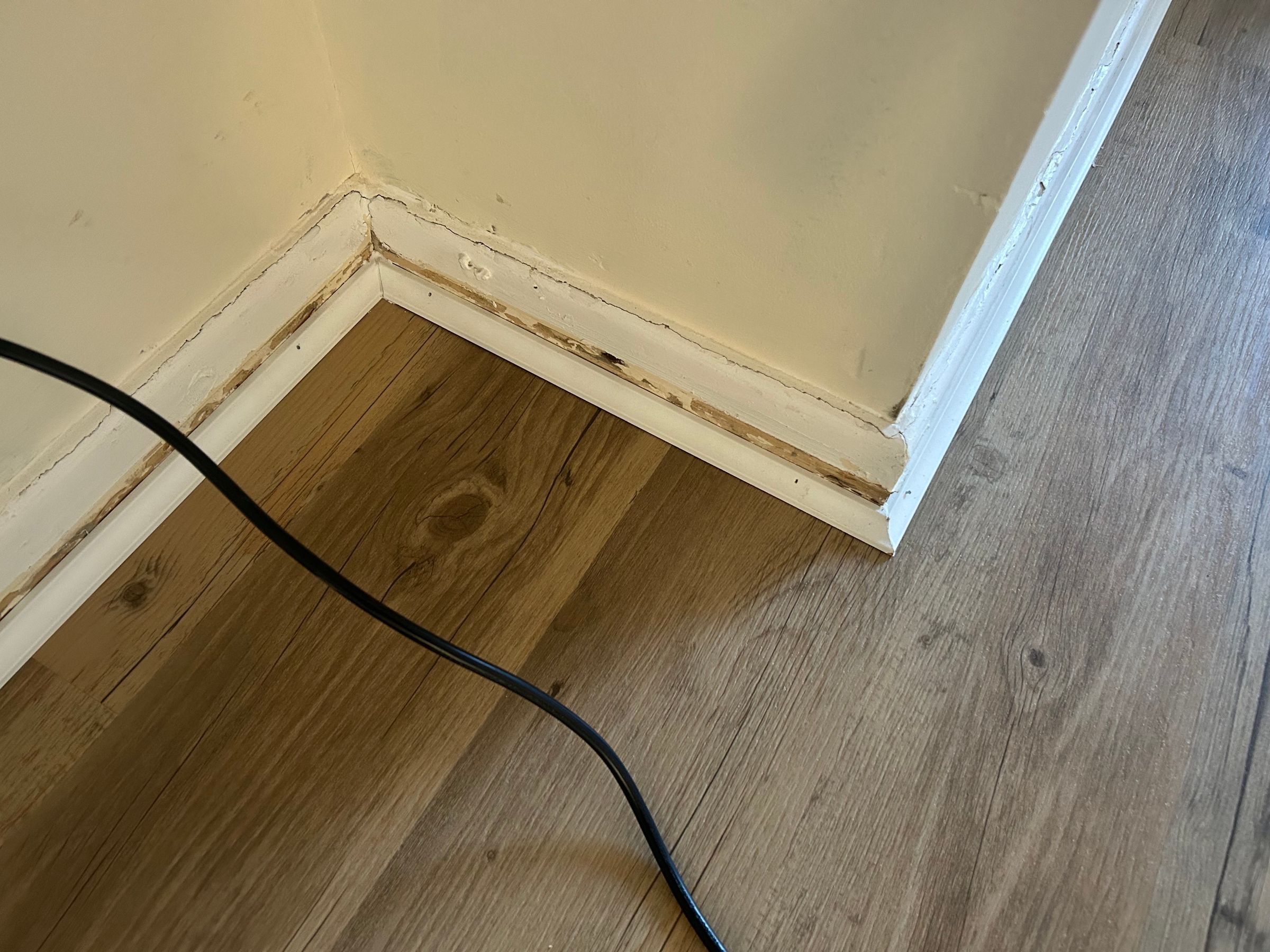 rw HANDYMAN SERVICES 's image