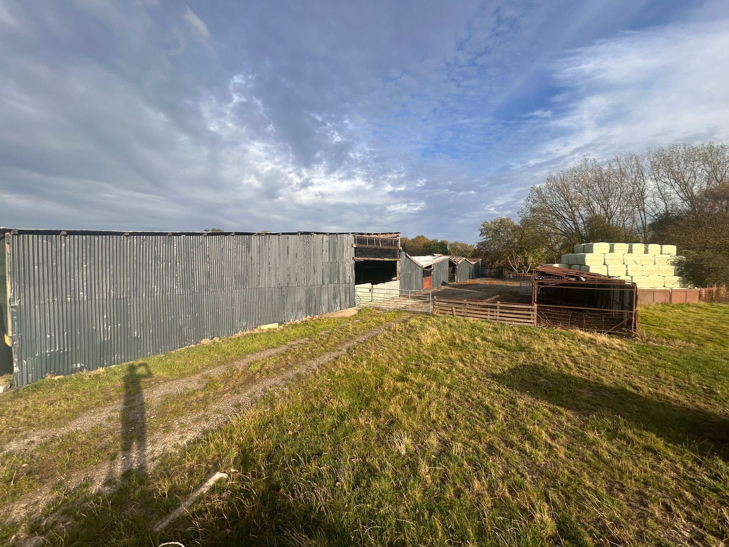 rw HANDYMAN SERVICES 's image