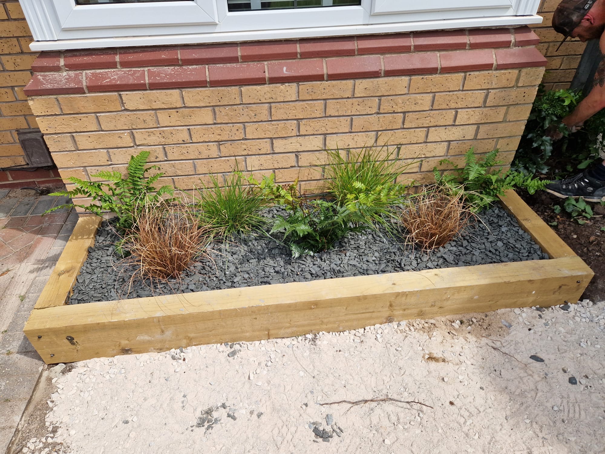 raised beds