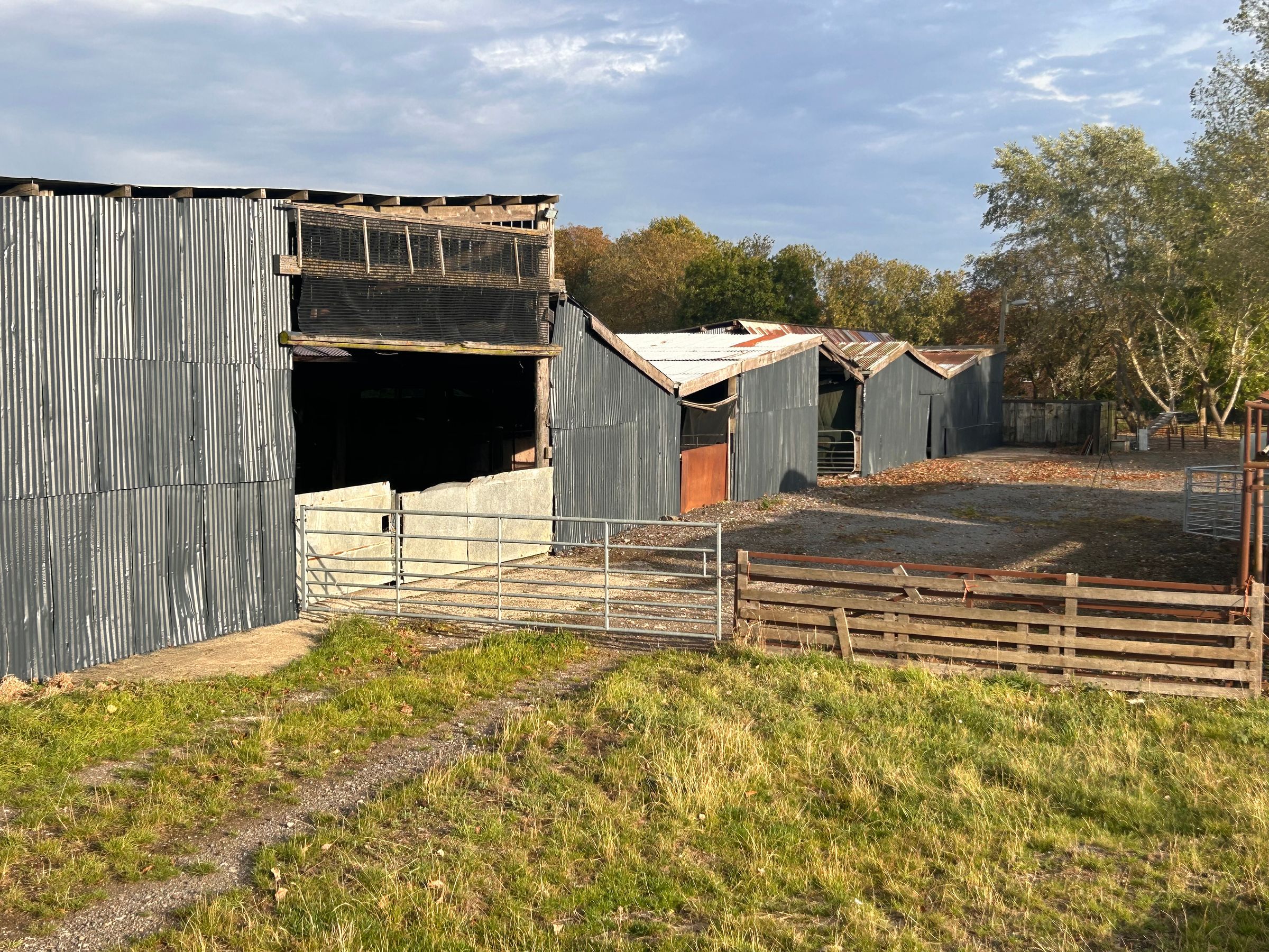 rw HANDYMAN SERVICES 's image