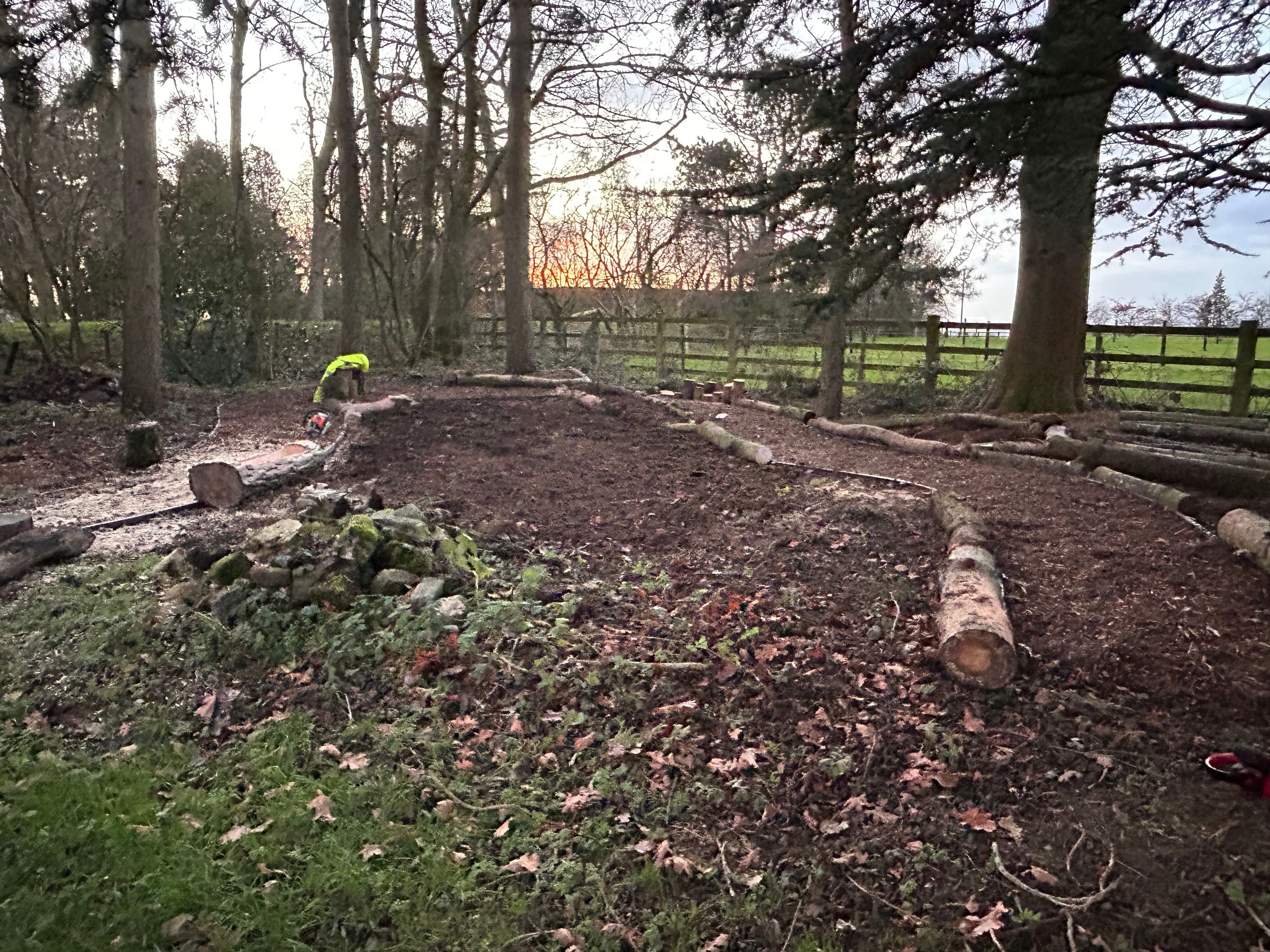 rw HANDYMAN SERVICES 's image