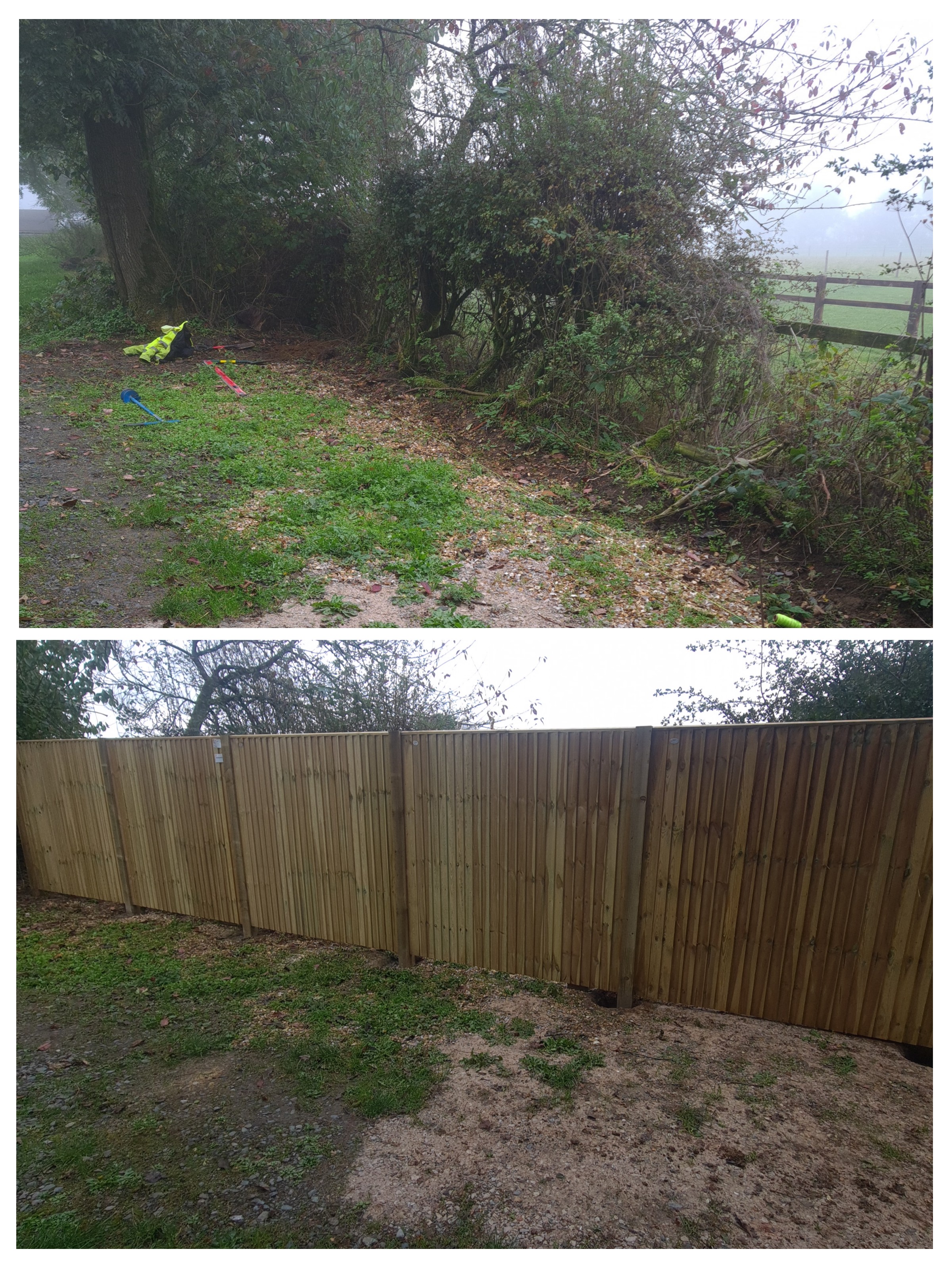 rw HANDYMAN SERVICES 's image