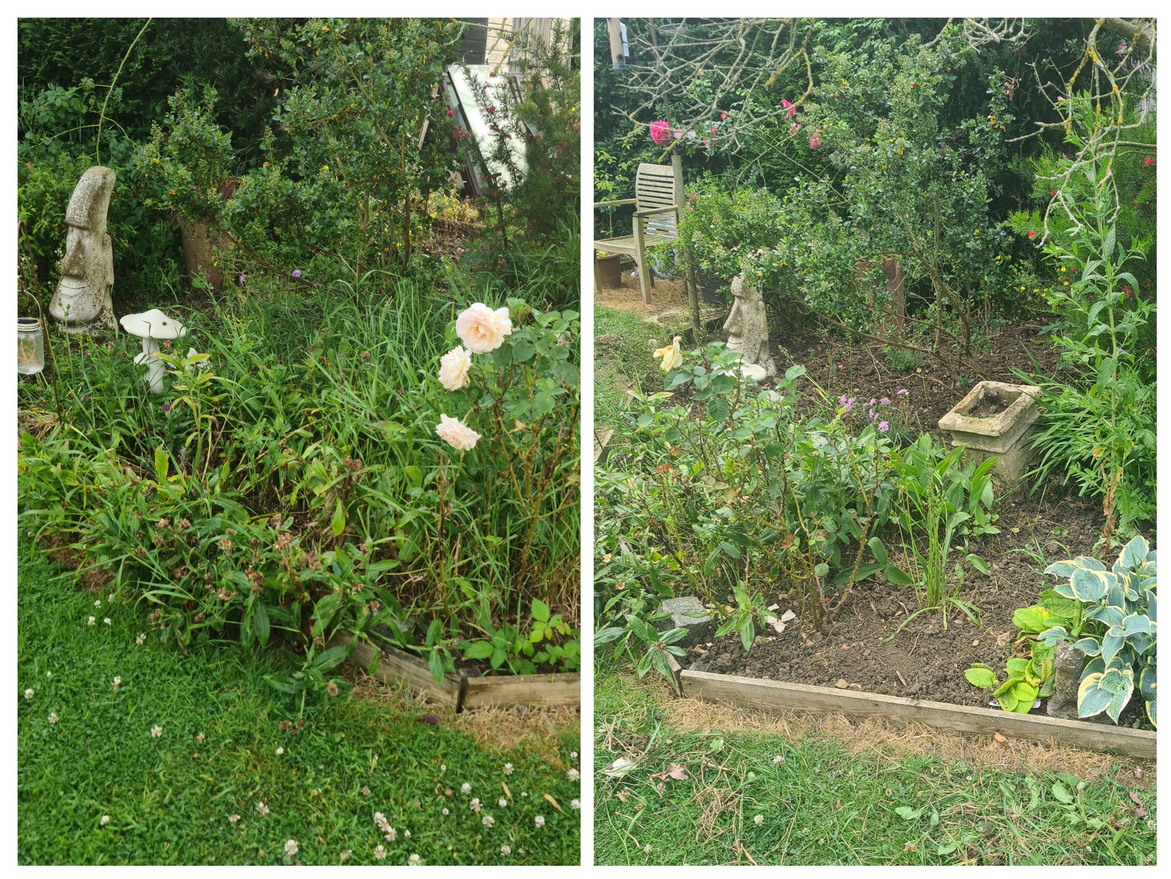 rw HANDYMAN SERVICES 's image