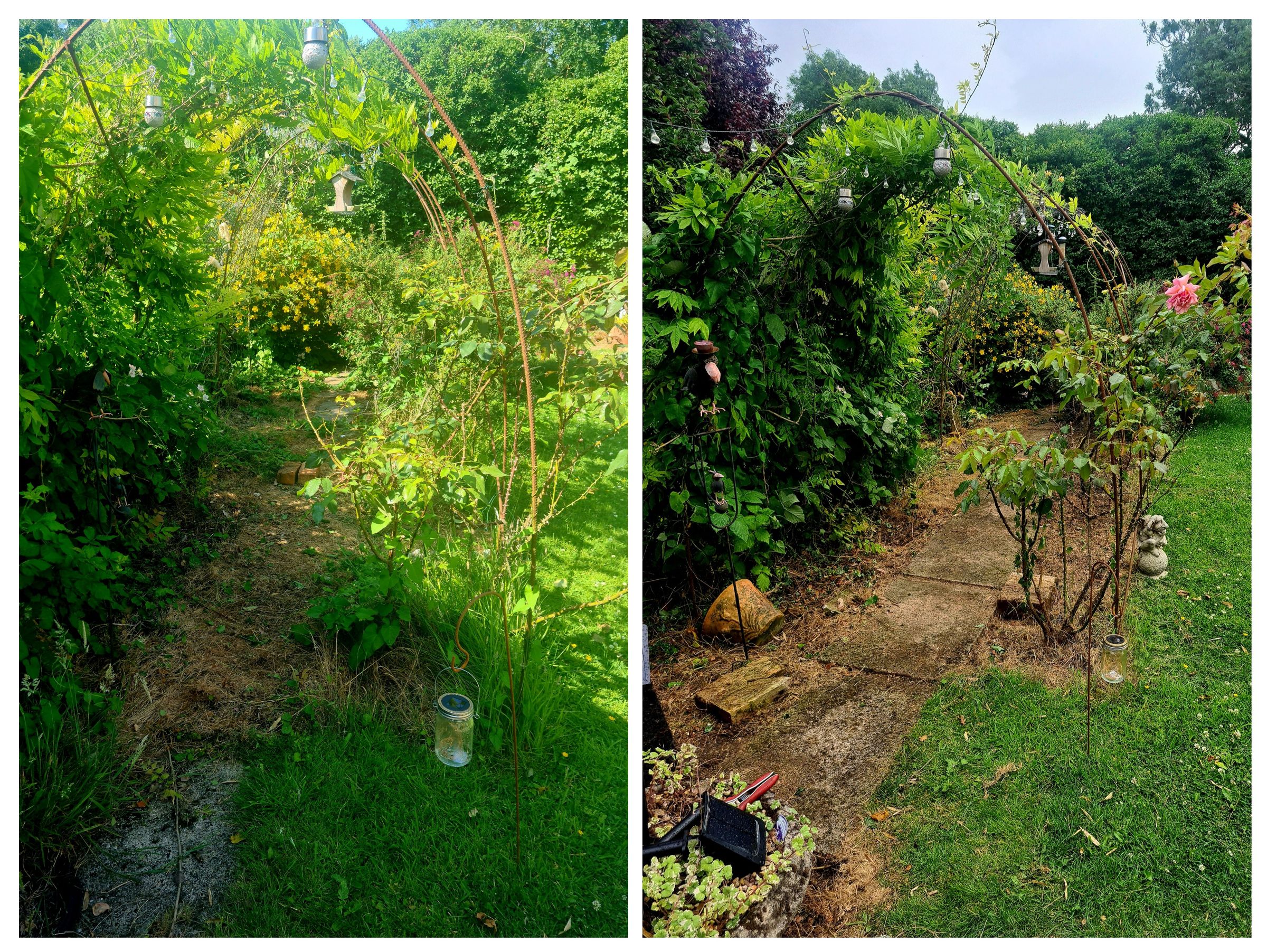 general garden maintenance