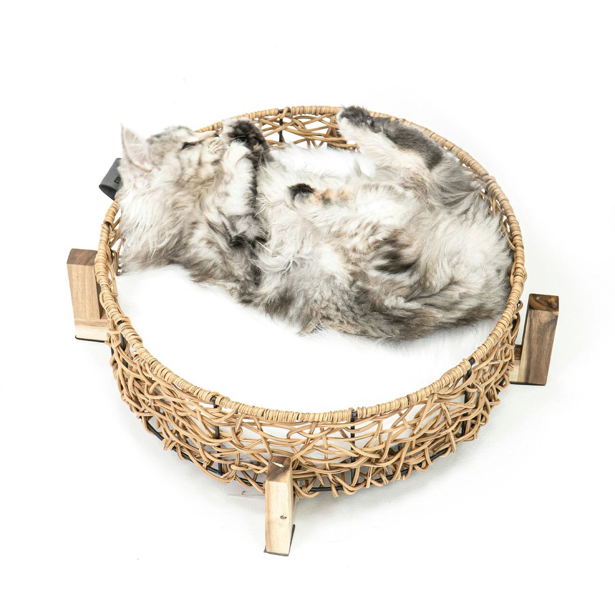 Premium Pet Products for Furry Friends's image