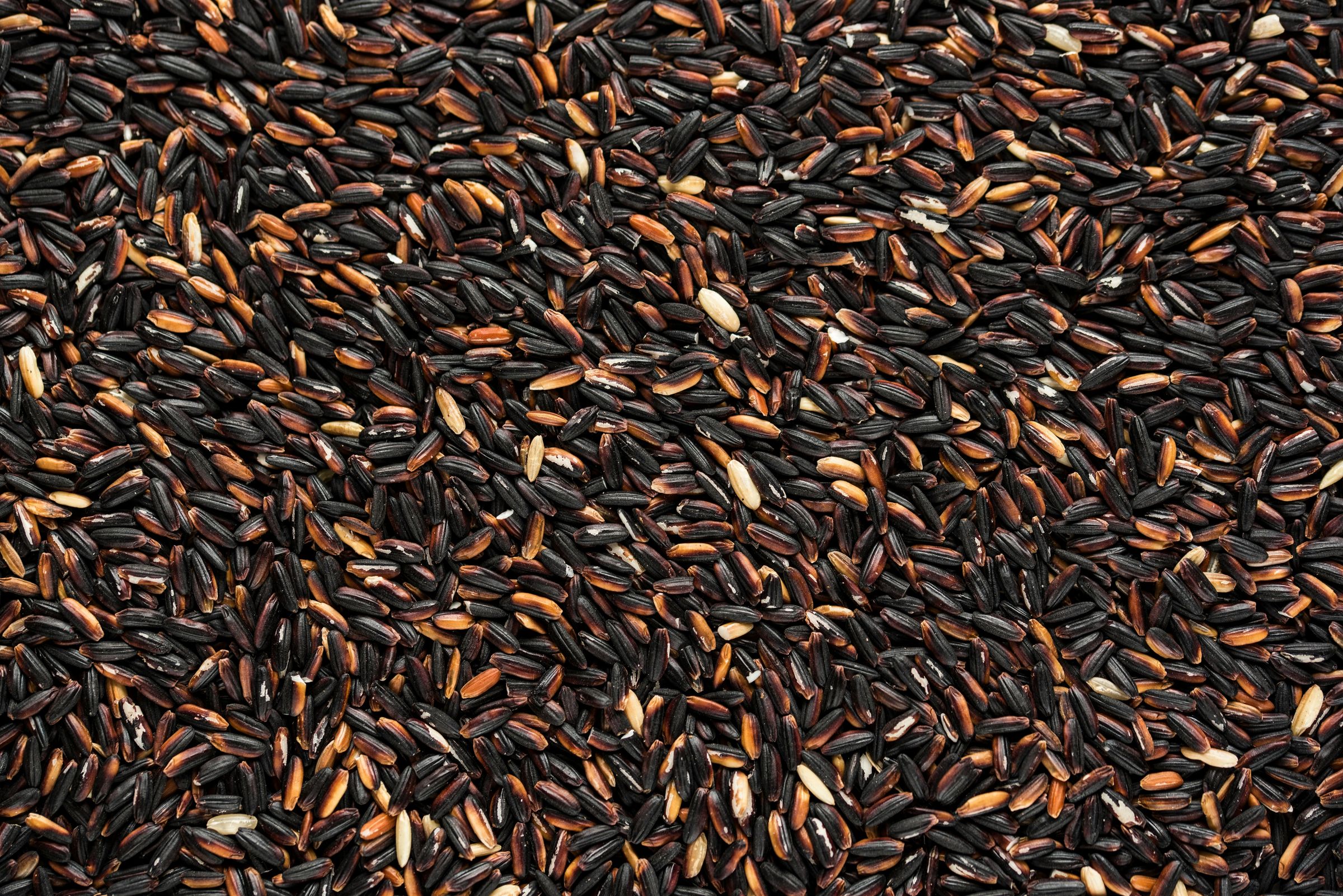 Exporting India’s Heritage to the World's image