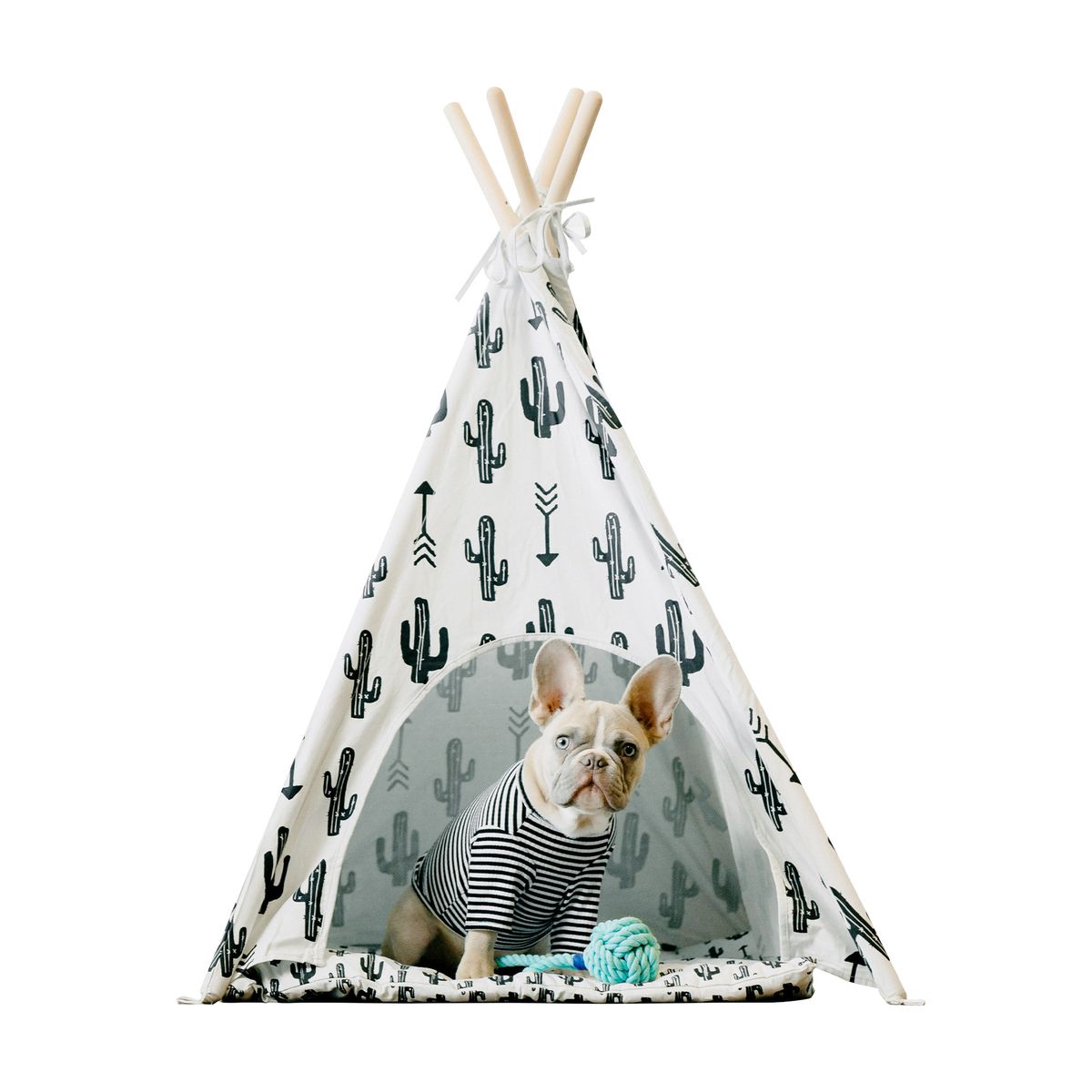 Premium Pet Products for Furry Friends's image