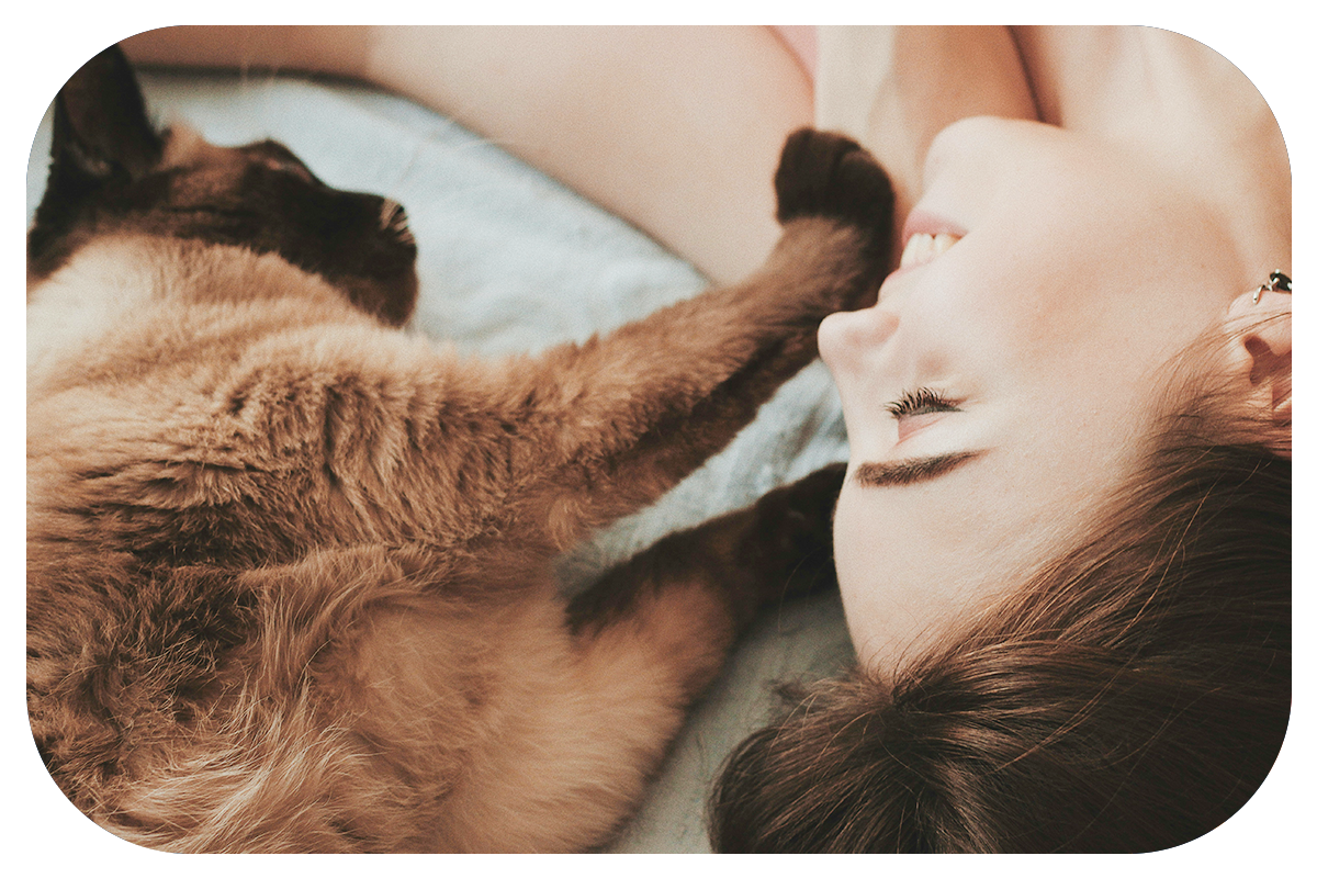 REYLA'S PETCARE's image