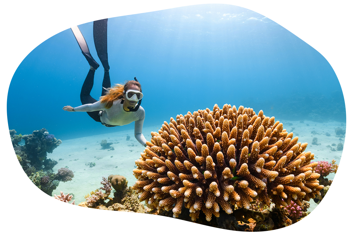 Pacific Jiu-Jitsu UNION's image