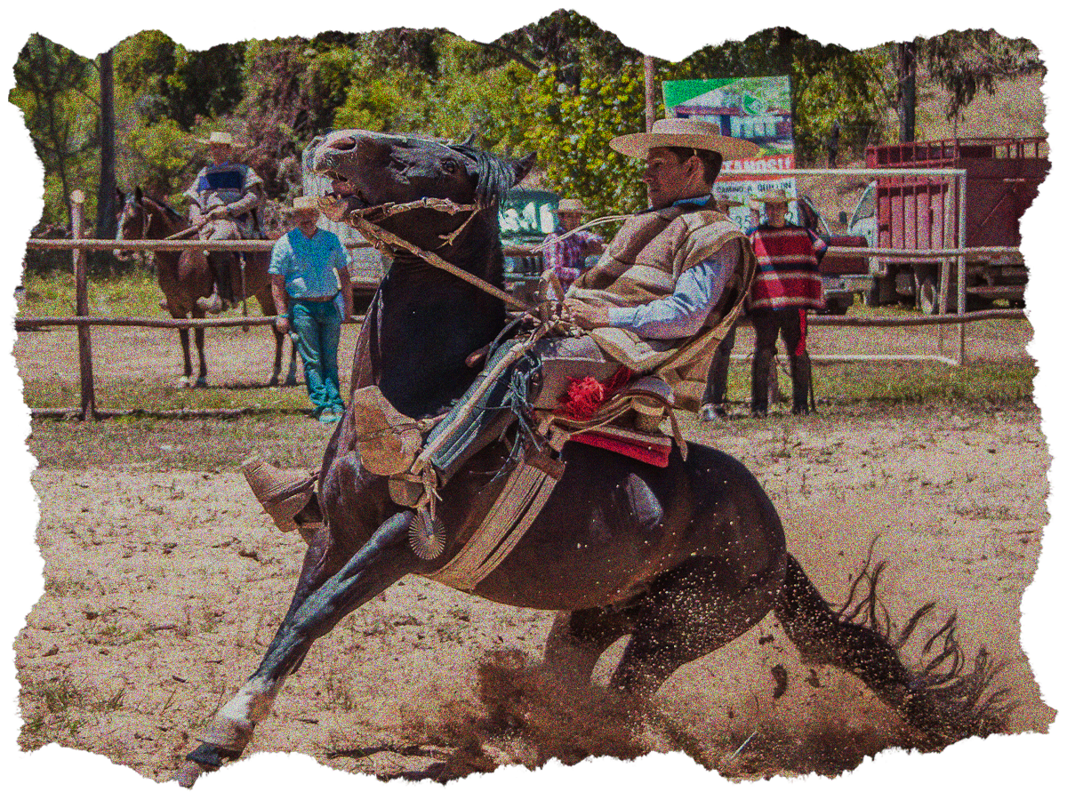 Wolf point ranch's image