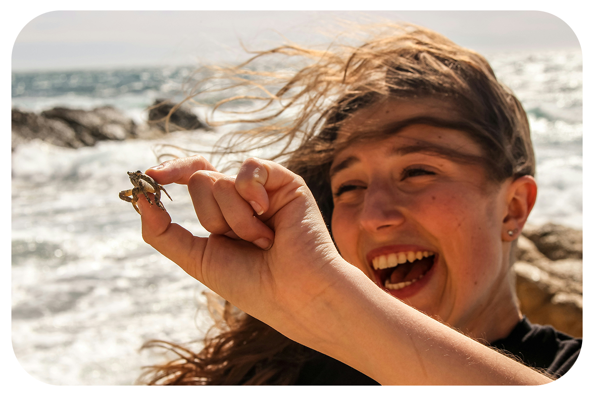 SHAMASH GLOBAL NPC / NPO's image