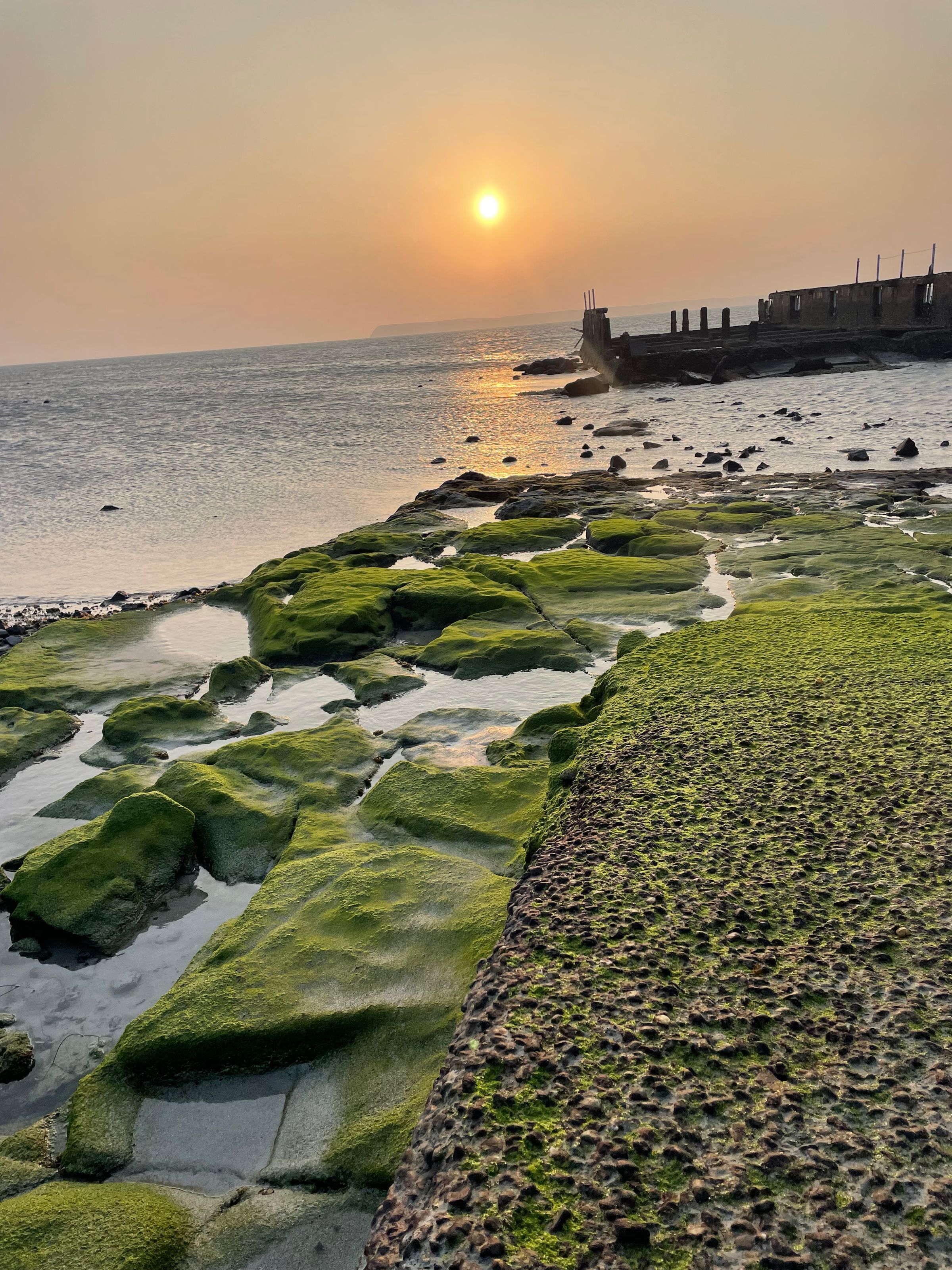 Azure Coast Travel's image