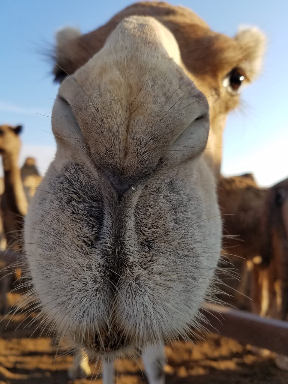 Azure Coast Travel's image