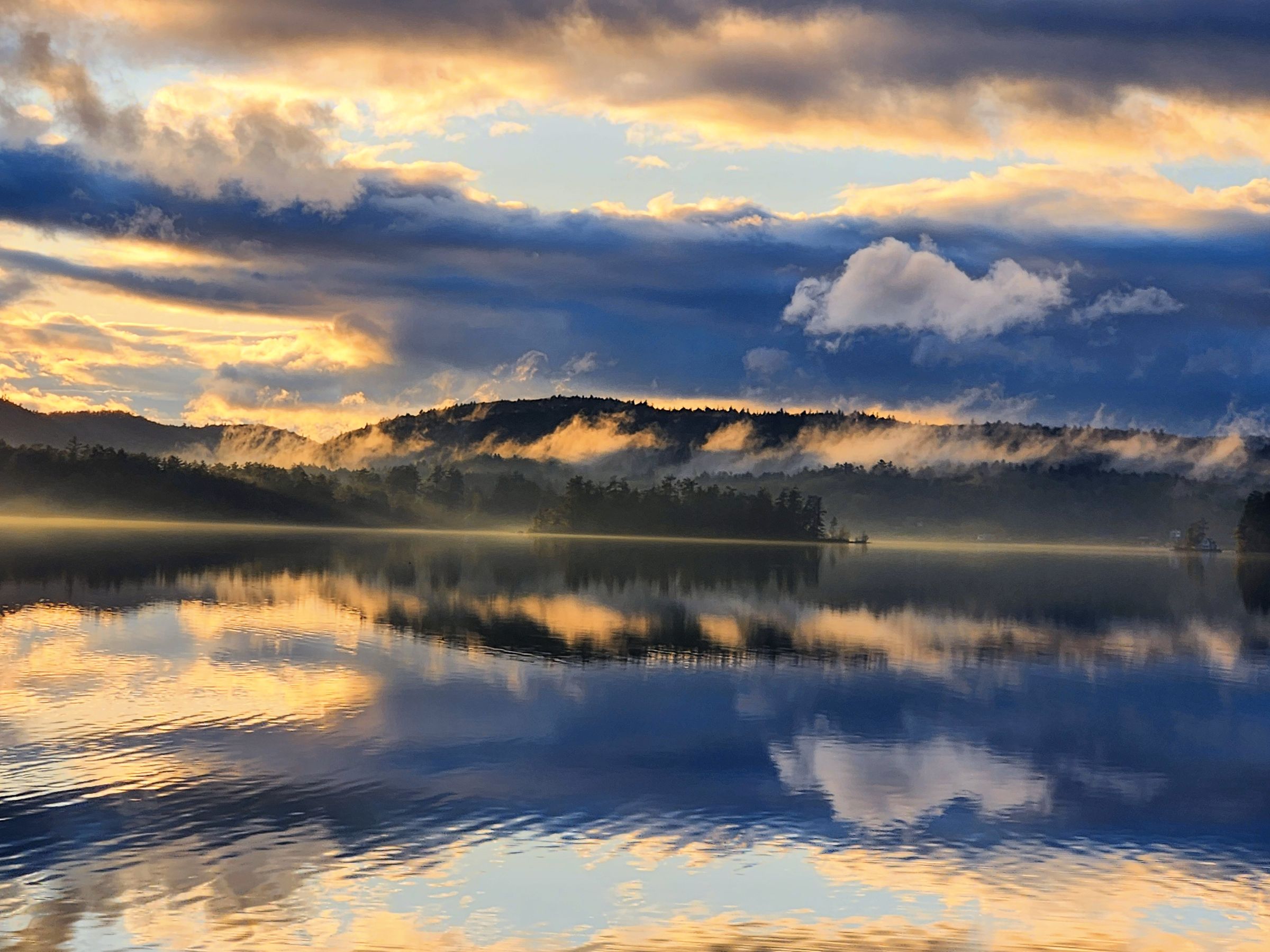 TRACY PROVENCHER's image