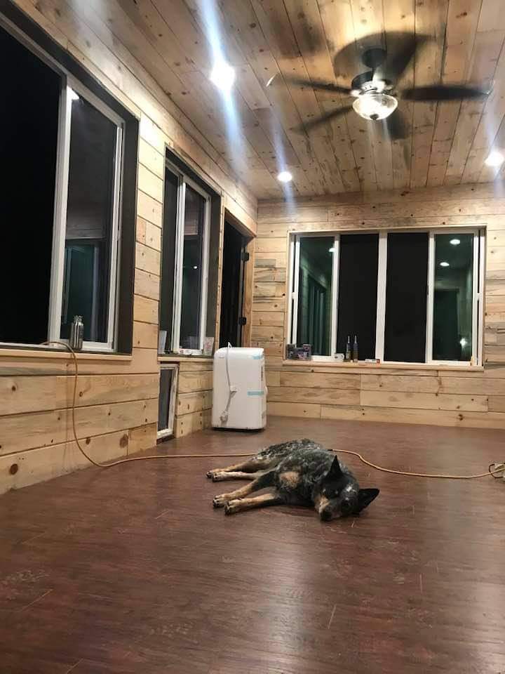 Thanks for the fan and new lights Task!