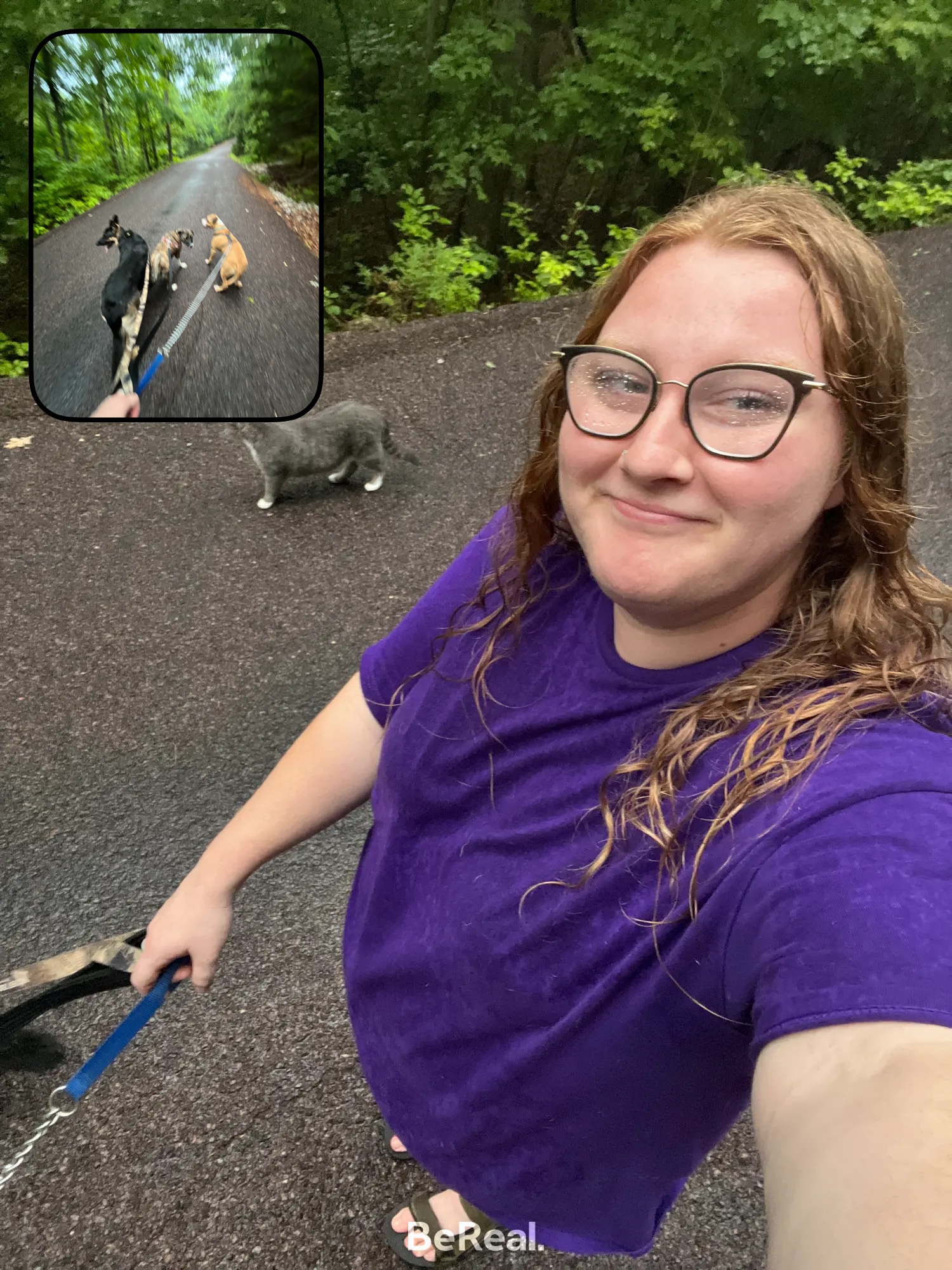 Secretly Sourdough 's image