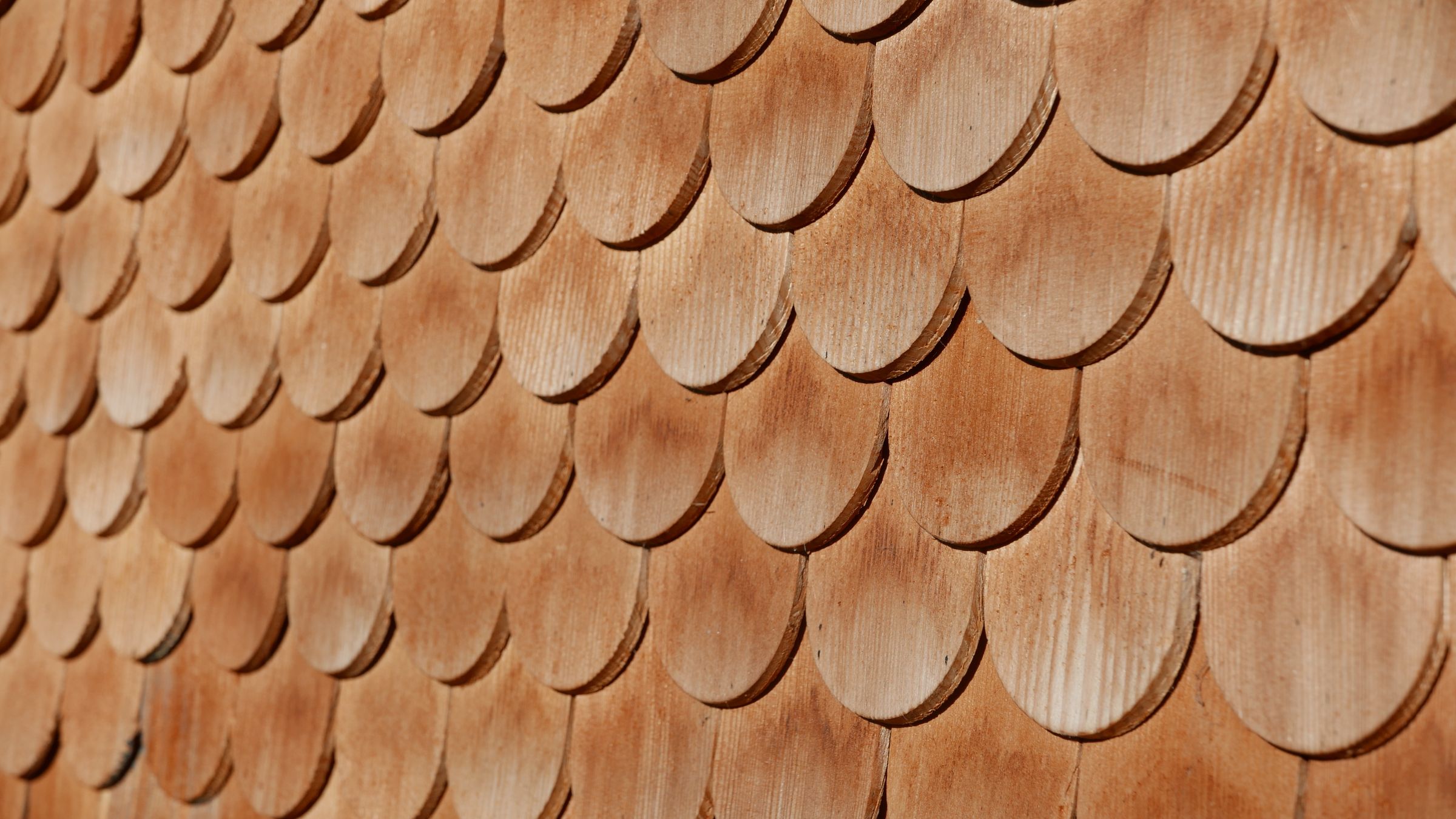 Sunshine Foam Roofing's image