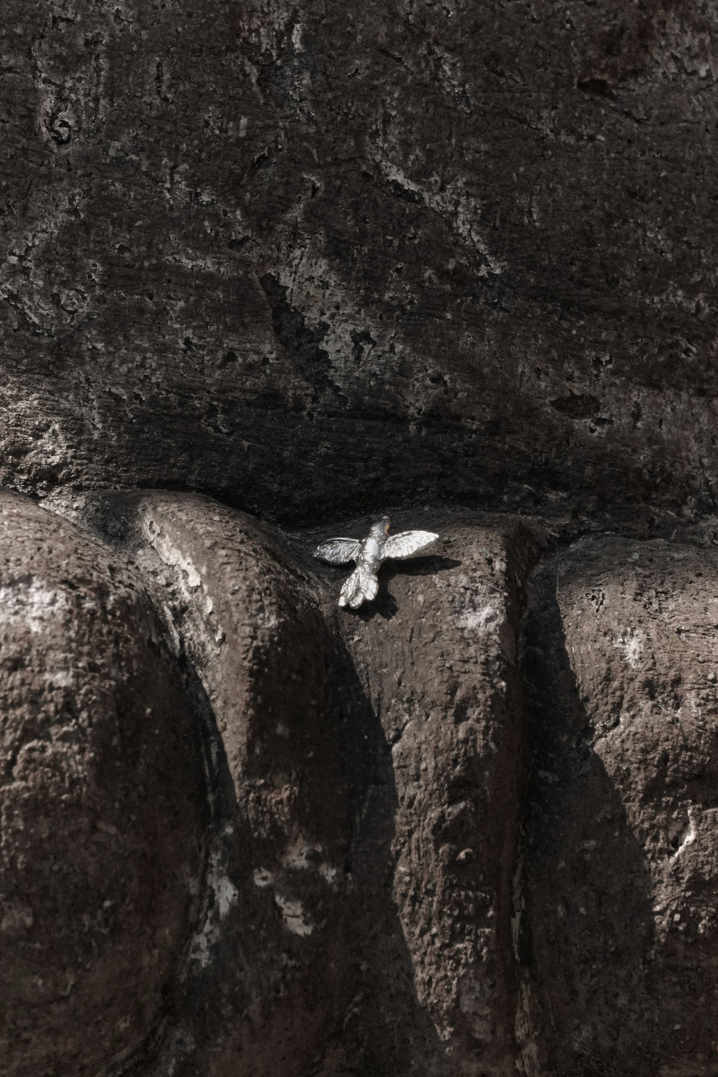 Pájaro de plata (1.2cm ancho)