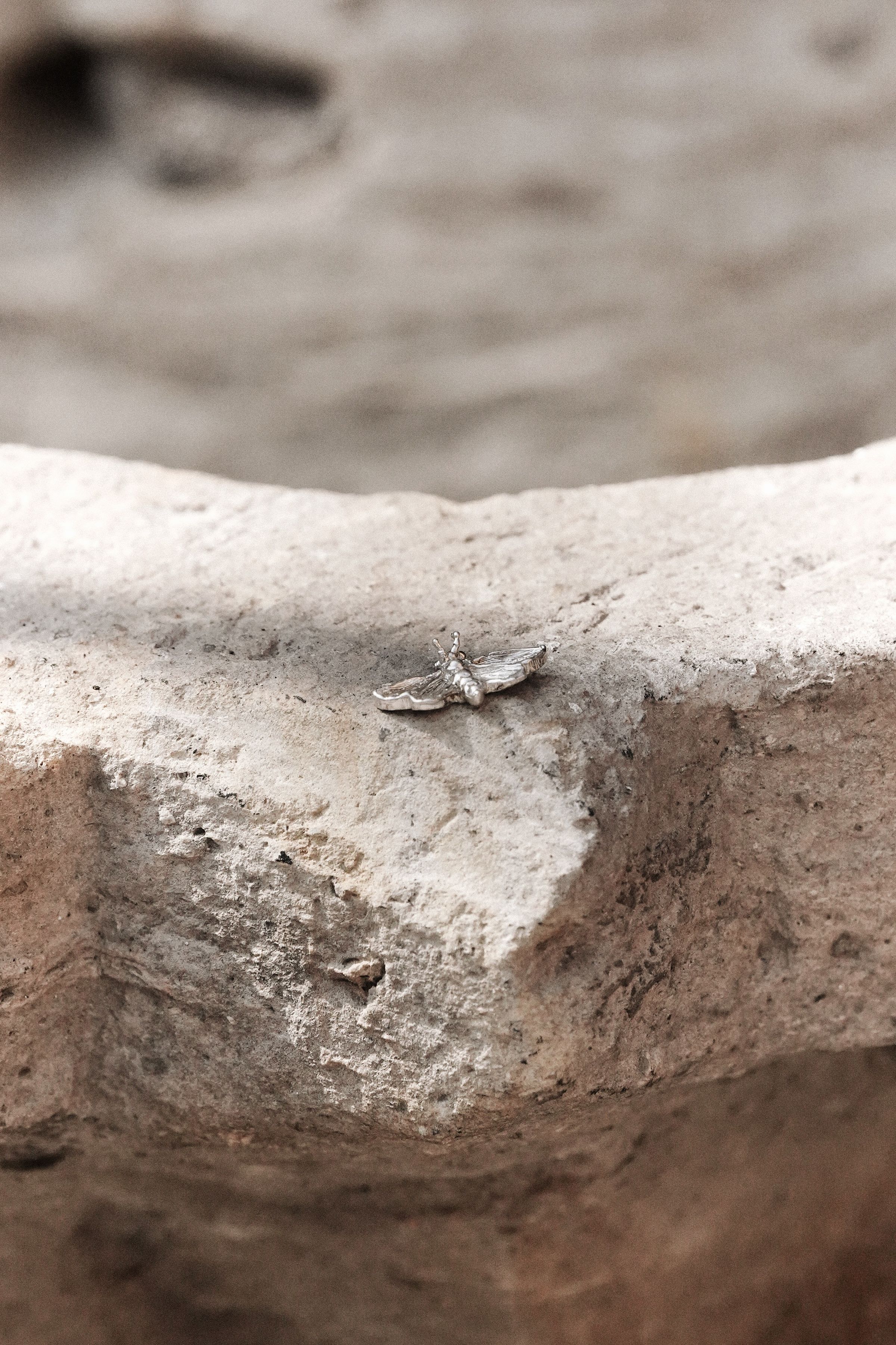 Polilla de plata (1.2cm ancho)