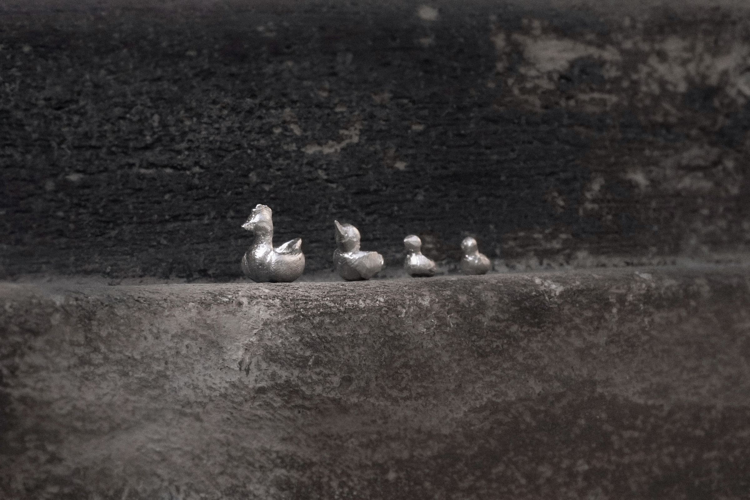 Familia de gallina y pollitos (plata)