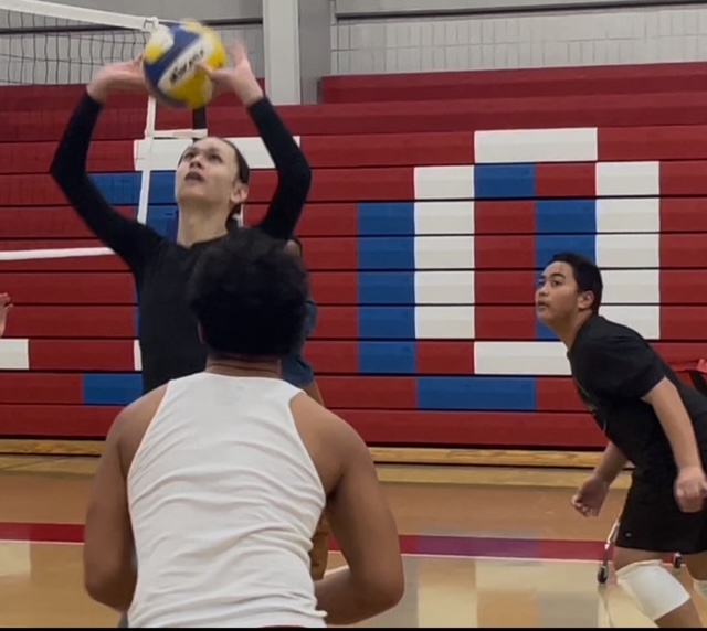 AK Legacy Volleyball's image