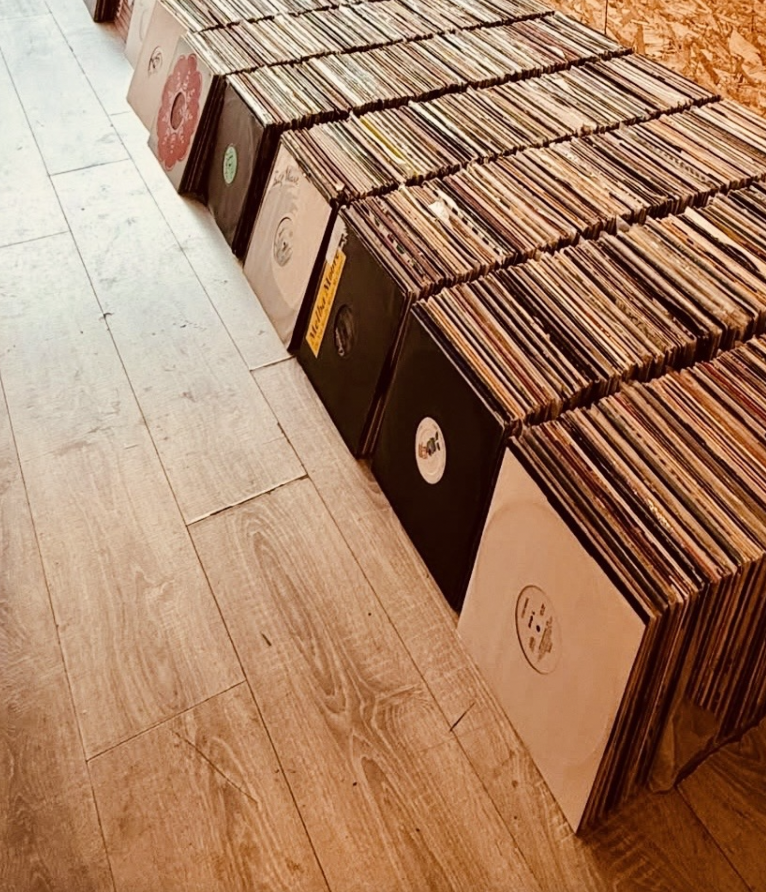 Deepness Audio's image