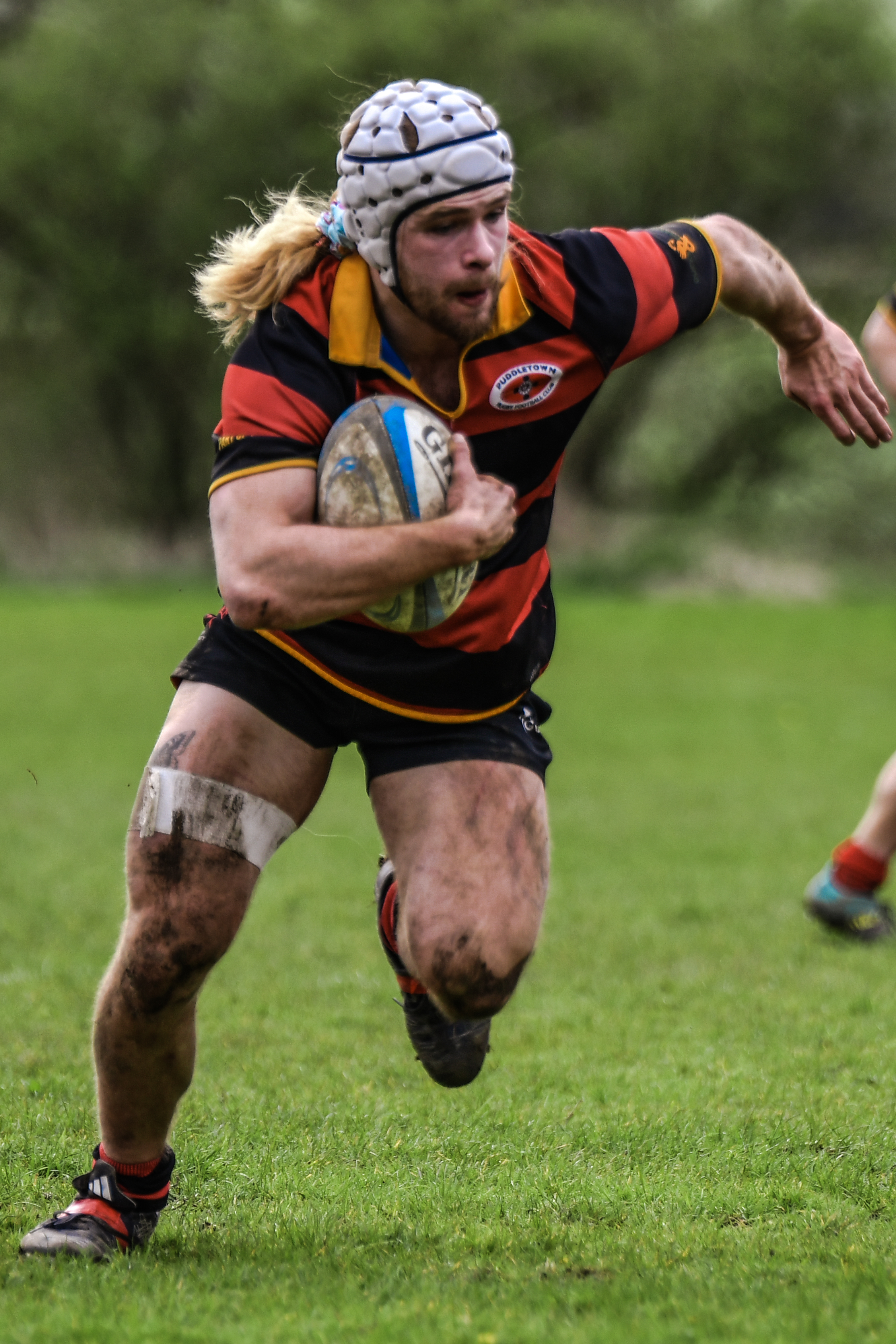 Knights Rugby's image
