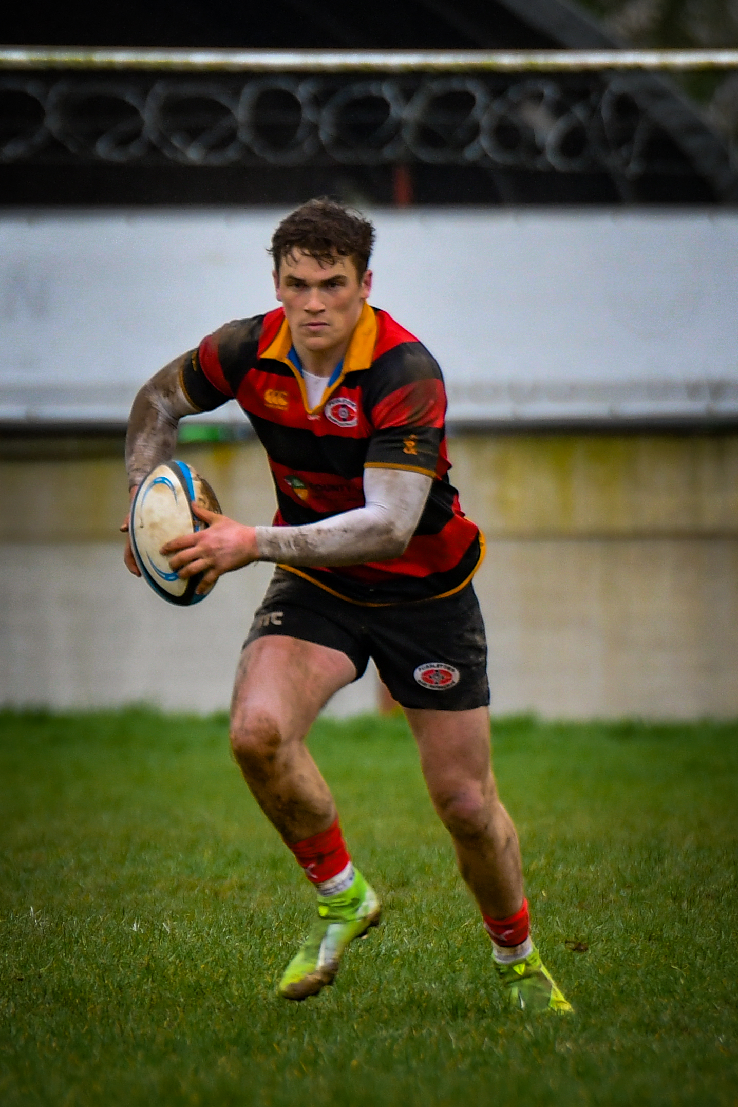 Knights Rugby's image