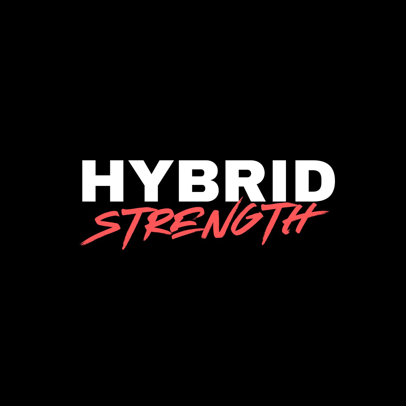 HYBRID X PROGRAMMING's image