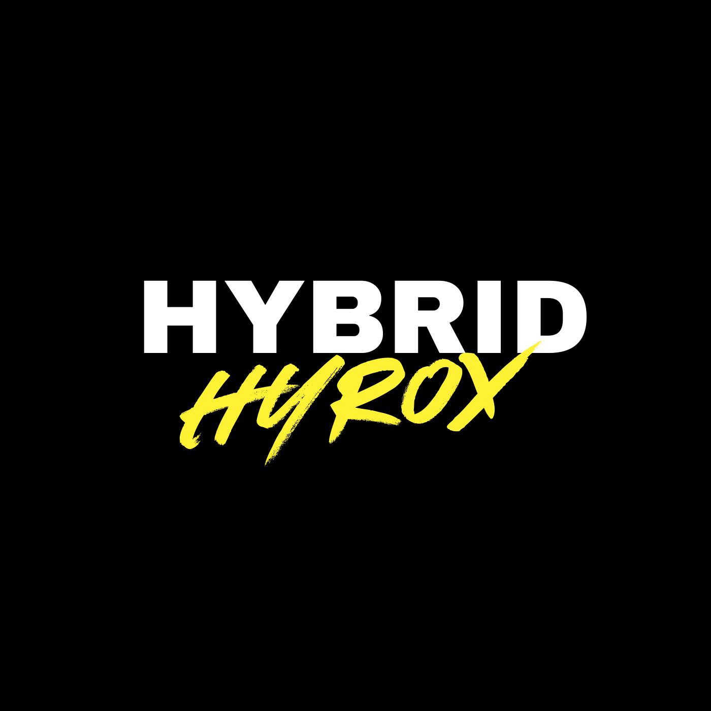 HYBRID X PROGRAMMING's image