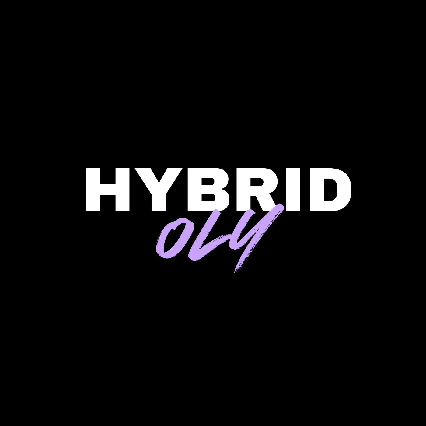 HYBRID X PROGRAMMING's image