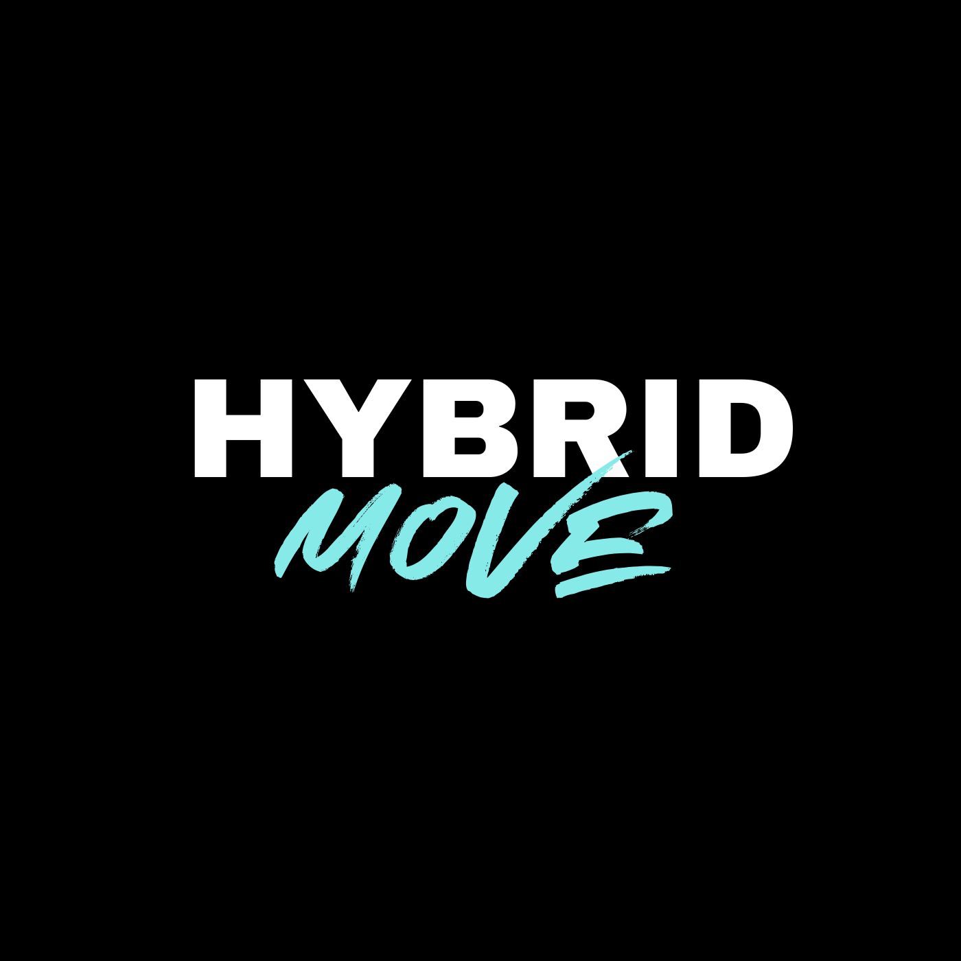 HYBRID X PROGRAMMING's image