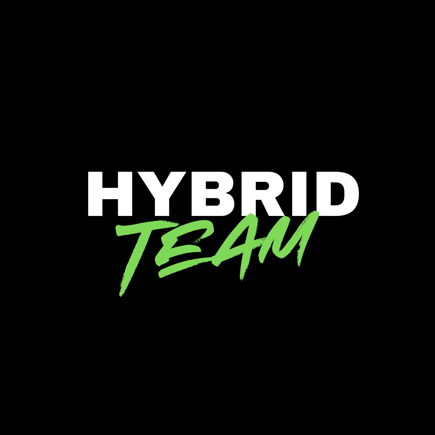 HYBRID X PROGRAMMING's image
