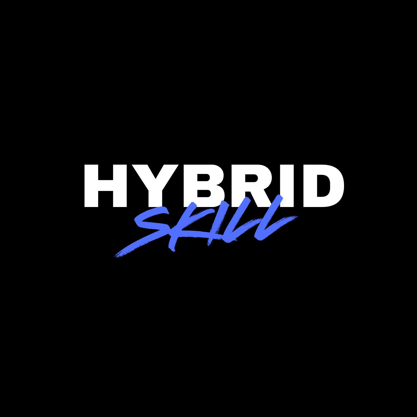 HYBRID X PROGRAMMING's image