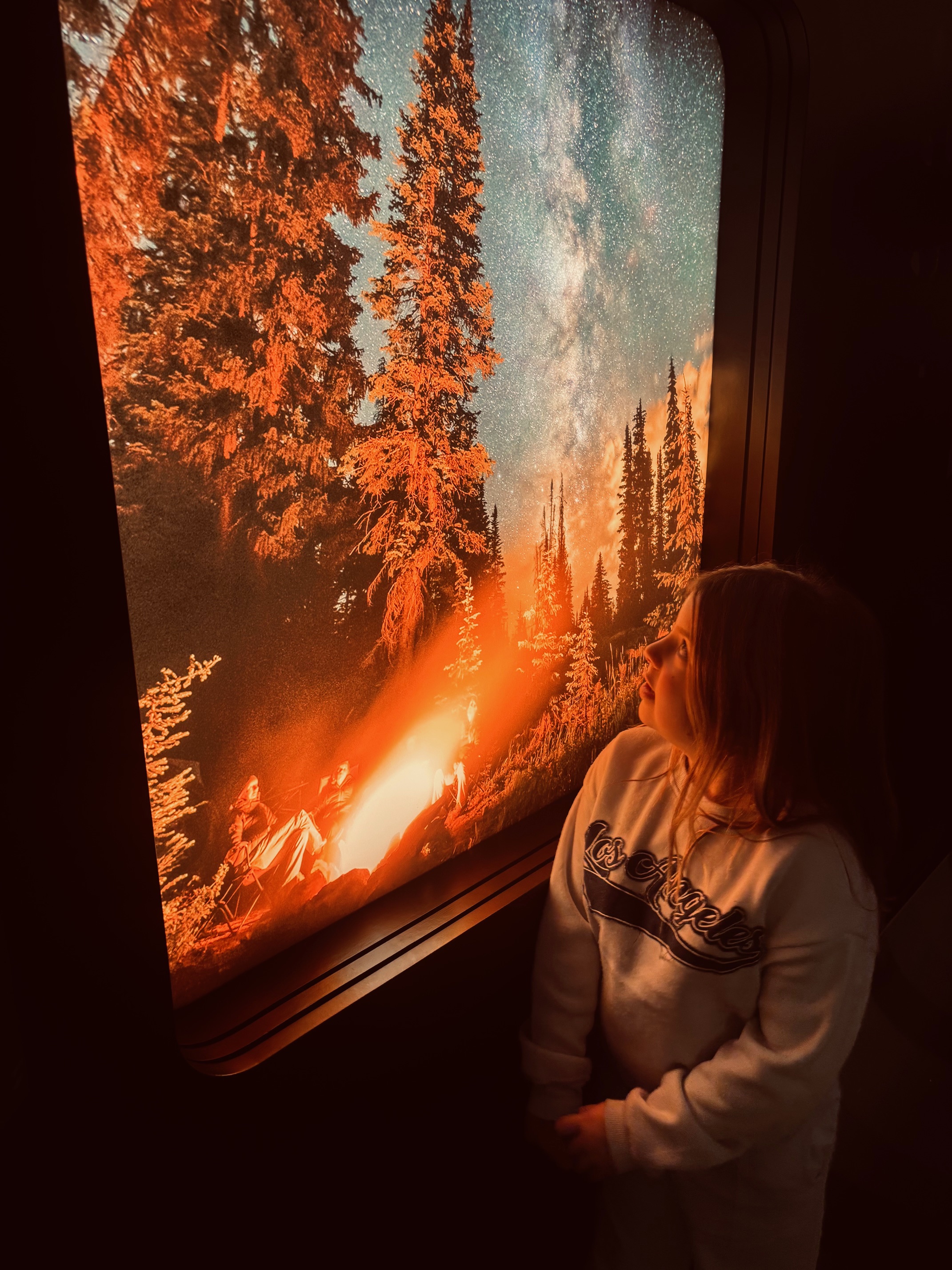 Denver Lux Tours's image