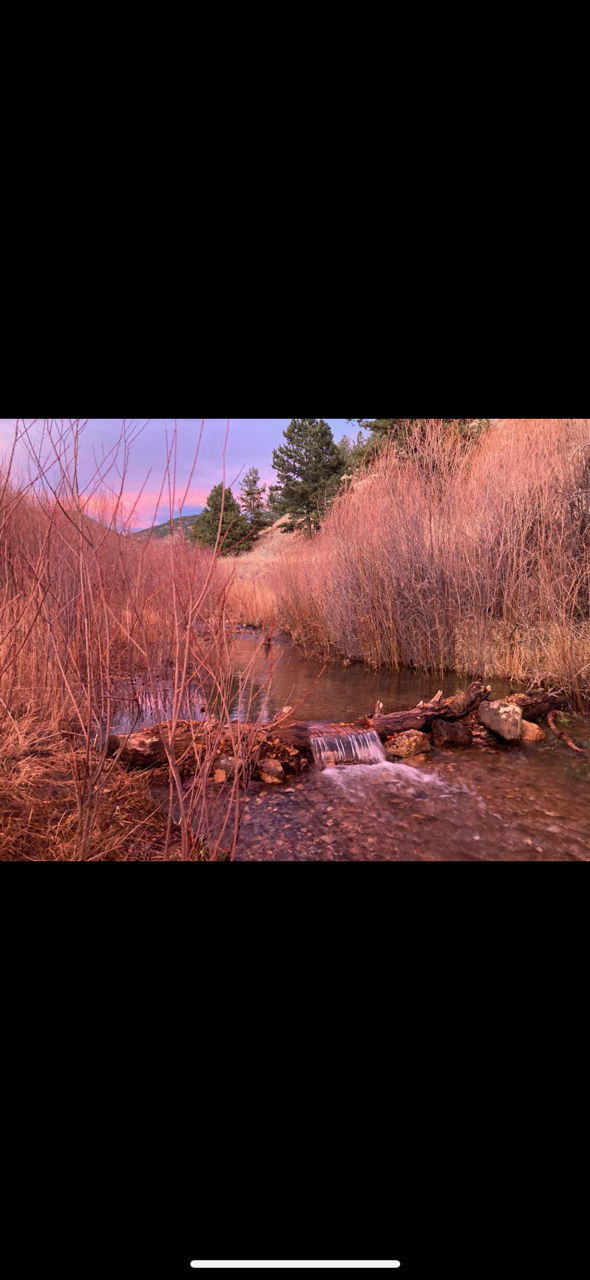 Denver Lux Tours's image