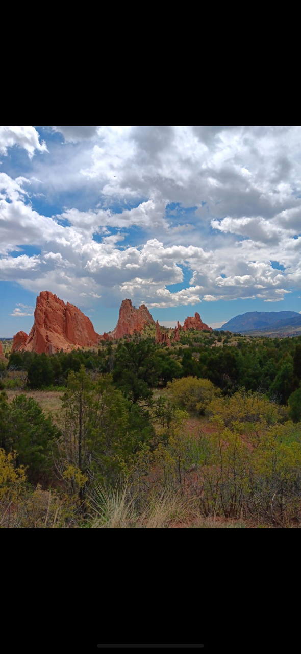 Denver Lux Tours's image