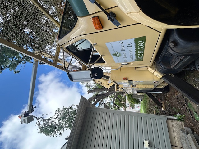 Pier Beach Tree and Landscape LLC's image