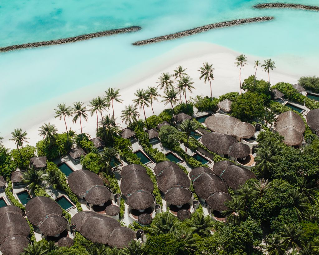 Discover Maldives Travel & Tours's image