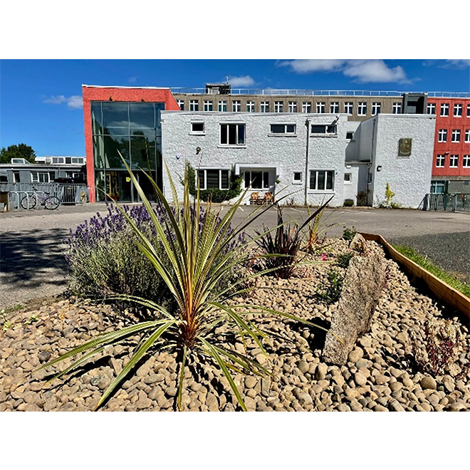 Marsco ADHD Coaching and Wellbeing's image