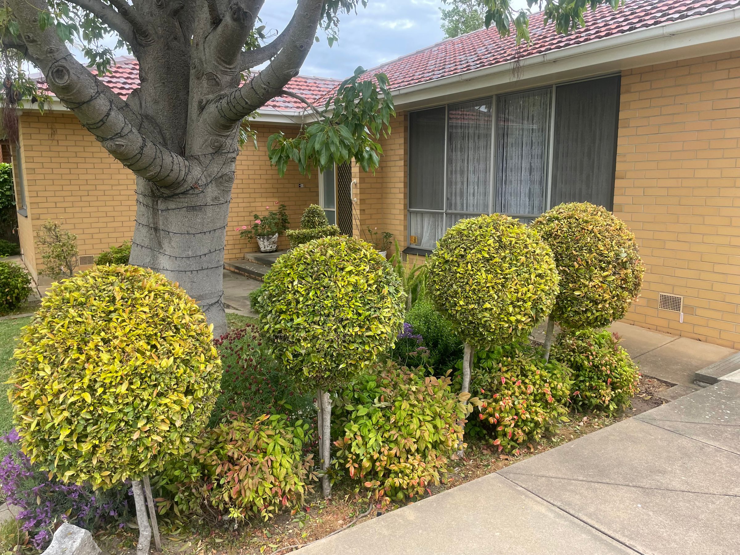 cw garden and landscaping 's image