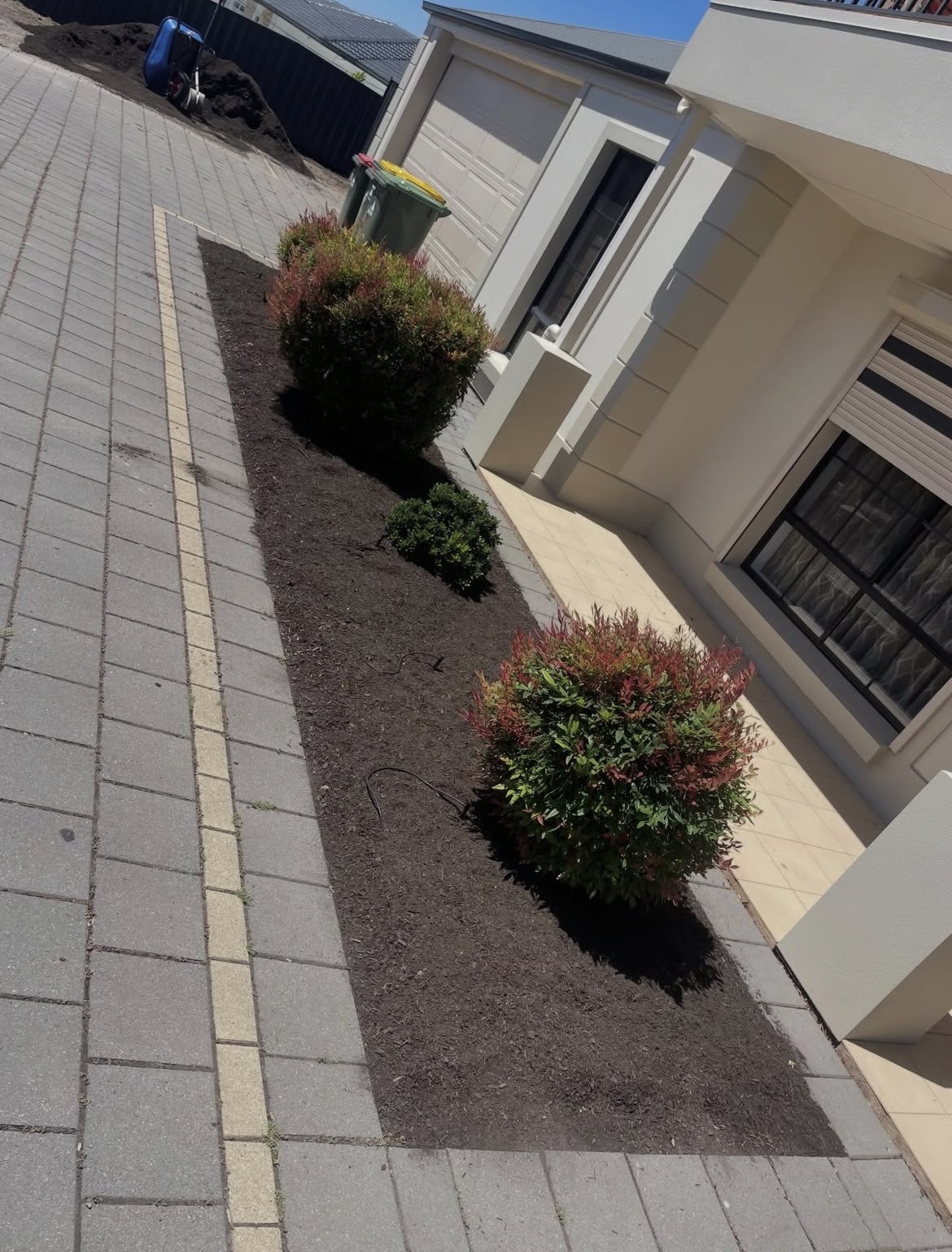 cw garden and landscaping 's image