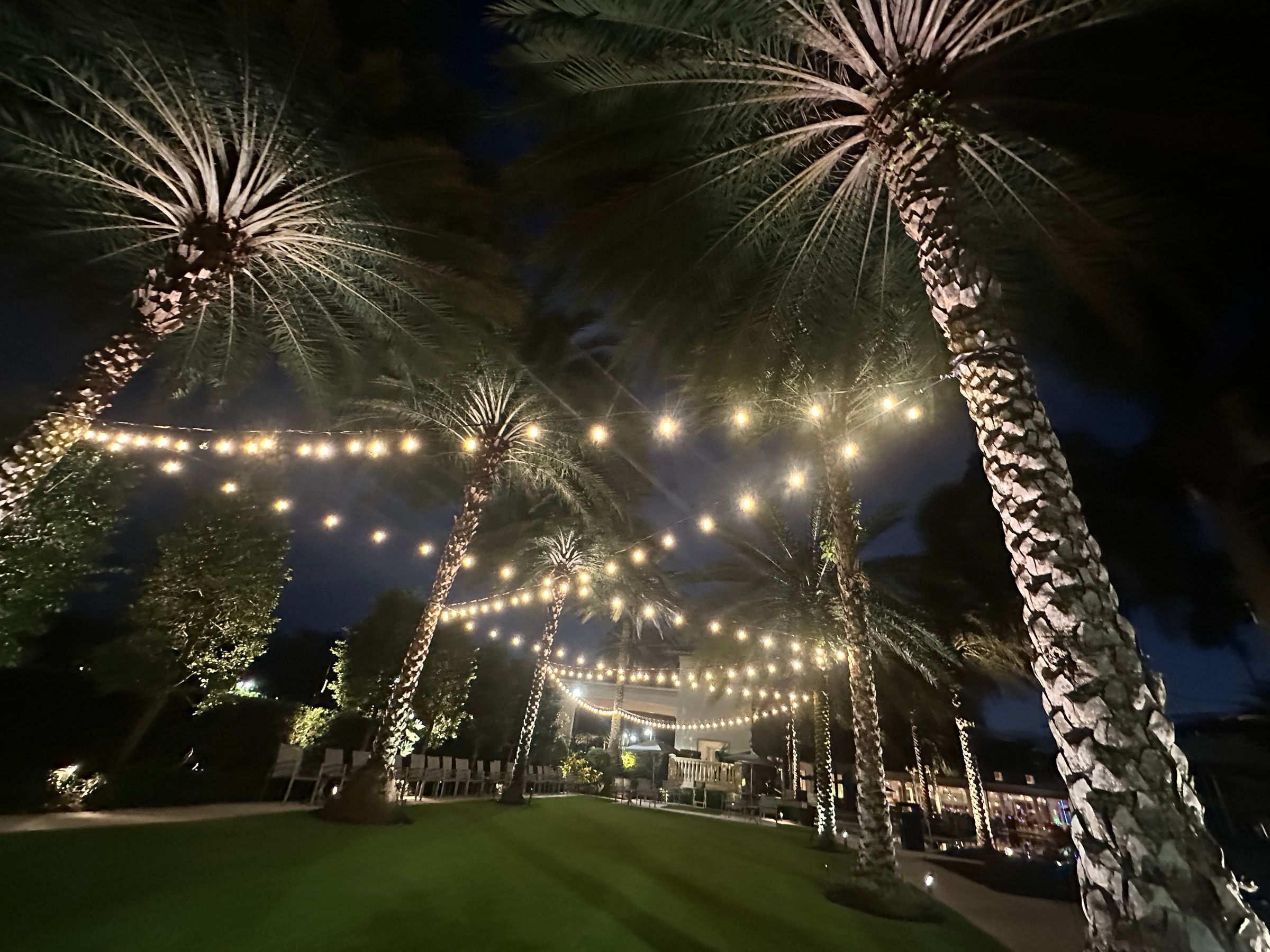 AM PM Illuminations and decor llc's image