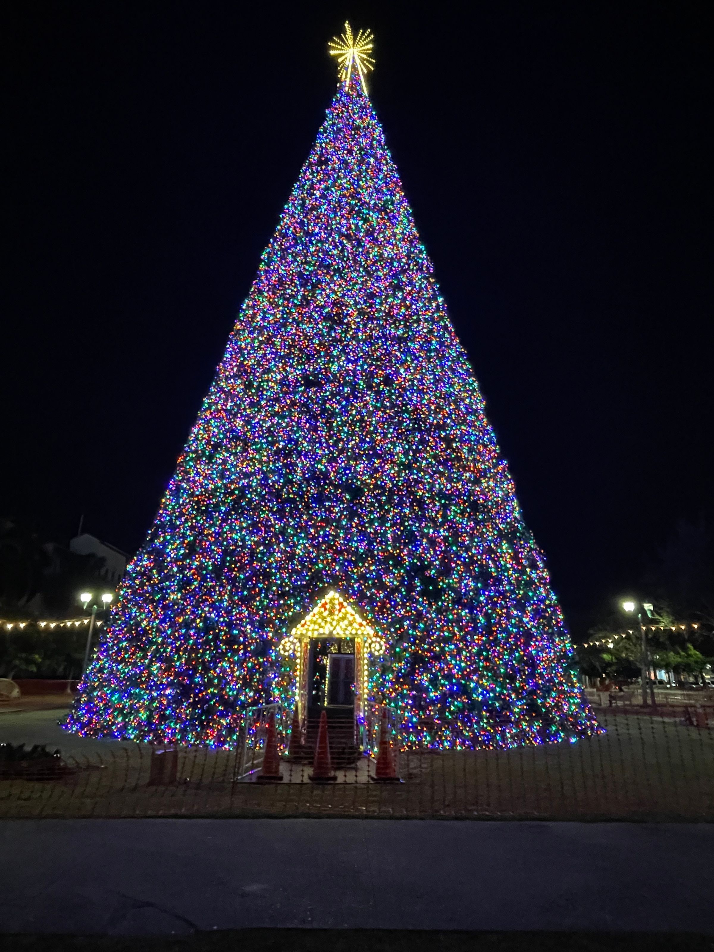 AM PM Illuminations and decor llc's image